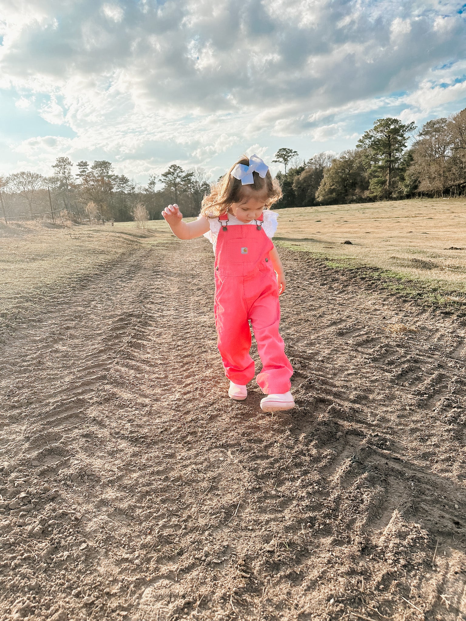 Carhartt Infant & Toddler Loose Fit Canvas Bib Overalls in Pink
