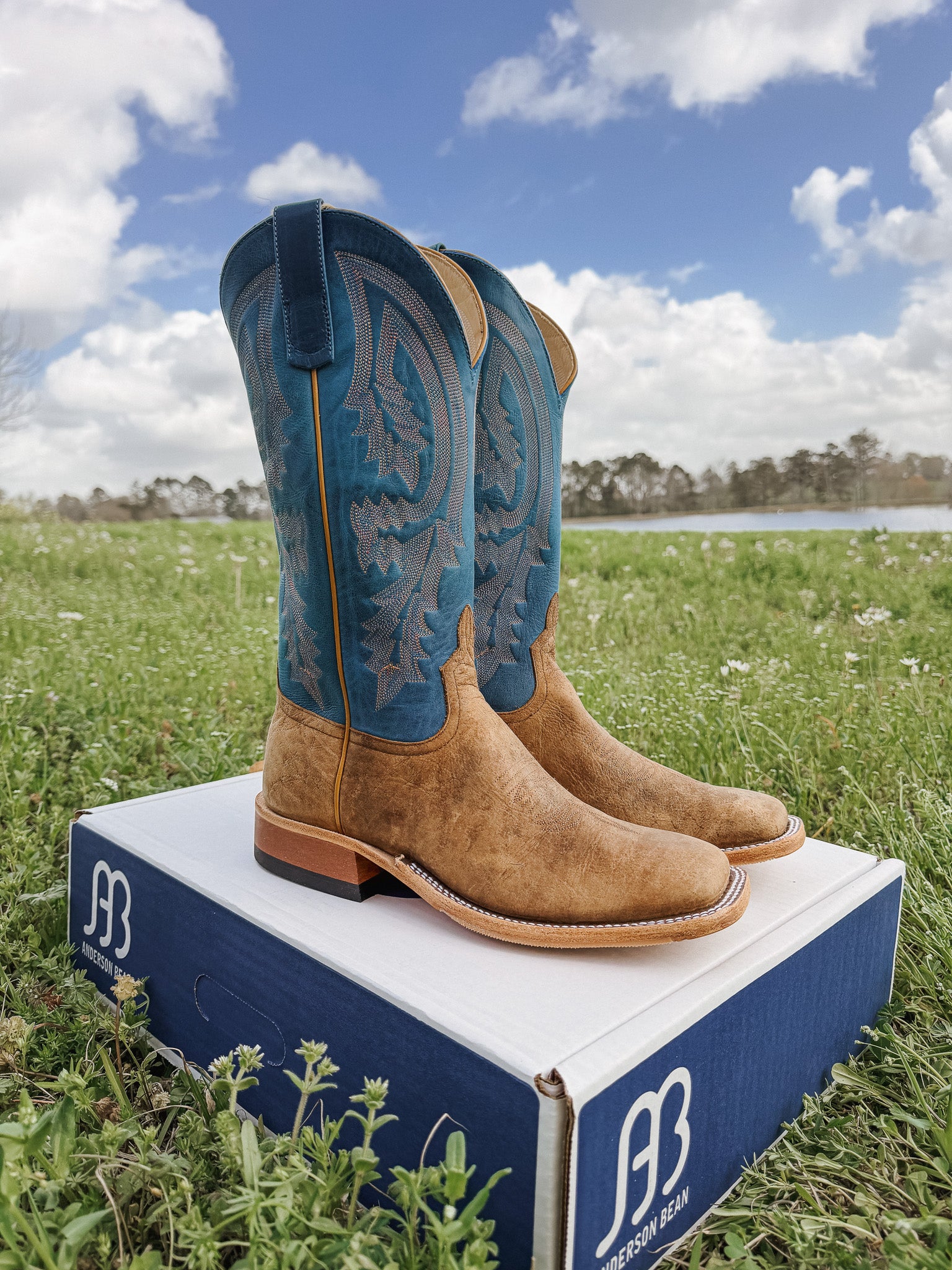 Men's Anderson Bean Sky Blue Avatar Bison Boots – Boot Country
