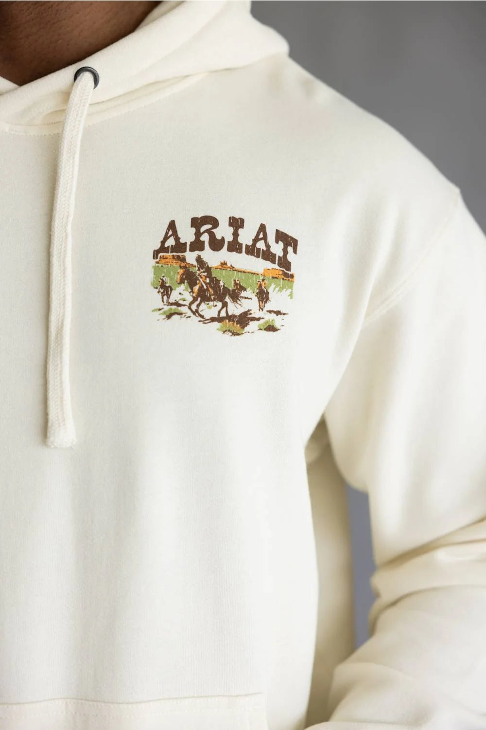 Ariat | Western Hoodie in Turtledove