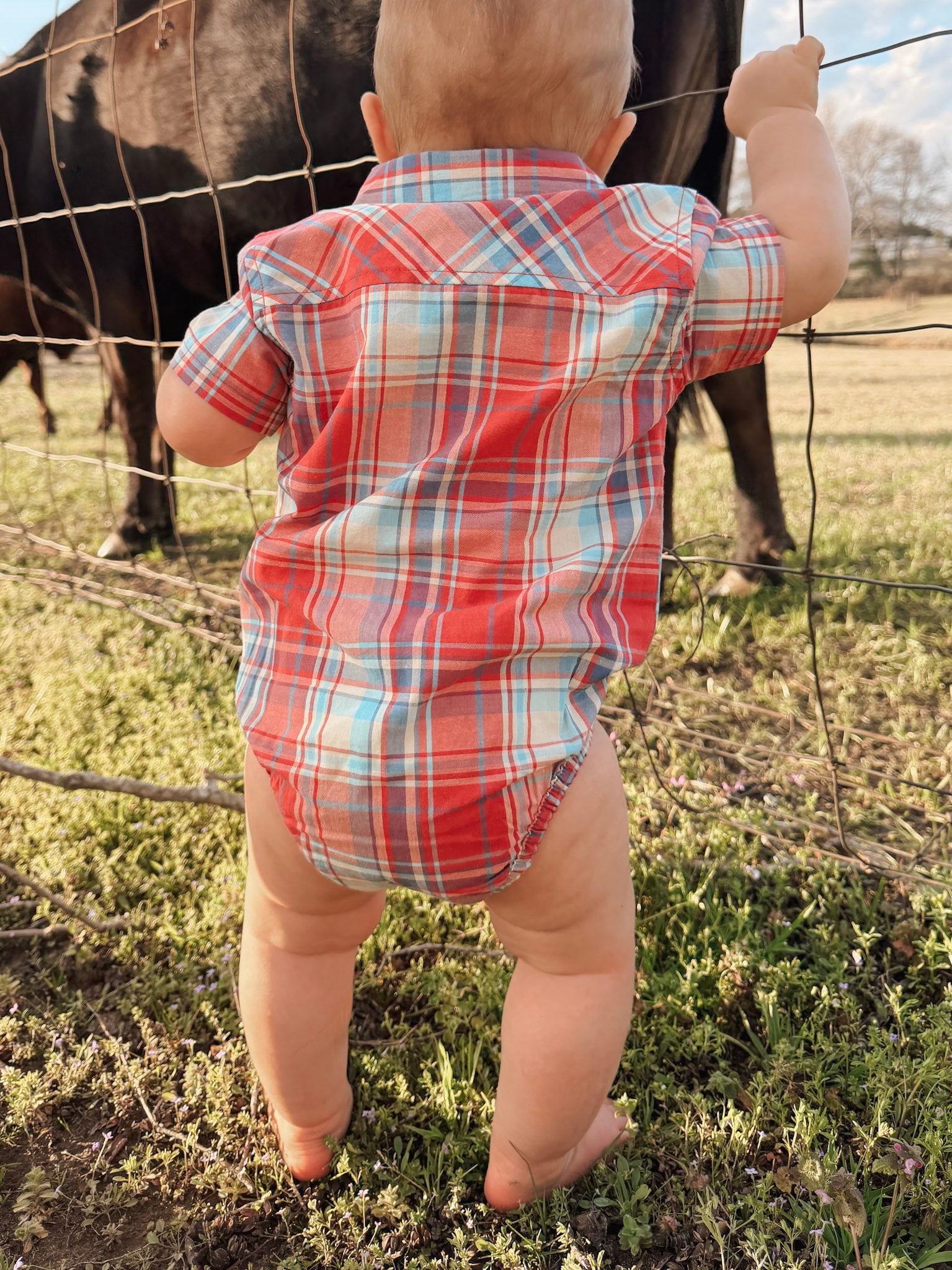 Carhartt Infant Woven Bodysuit in Red Plaid