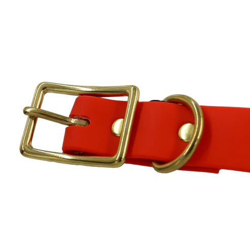 Local Boy Biothane Dog Collar in Orange