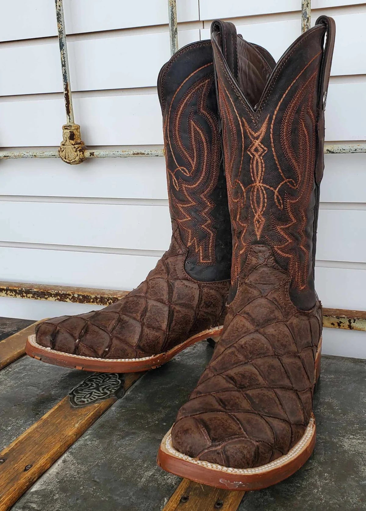 Men's Tanner Mark Monster Fish Print Boots