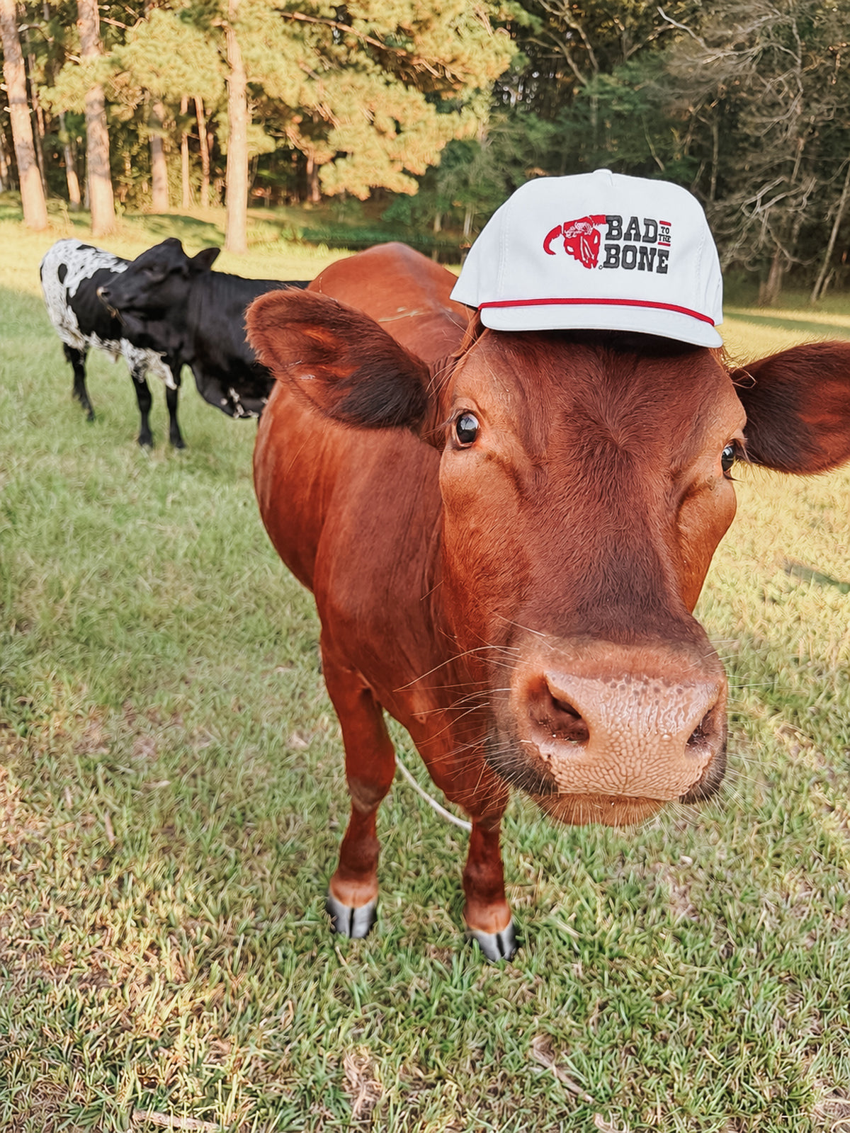 Hooey Bad to the Bone Cap