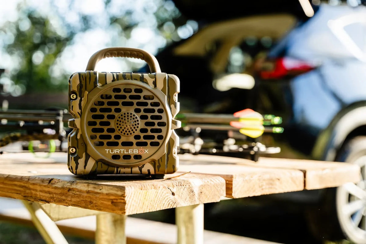 TurtleBox Original: Cub in Bottomland