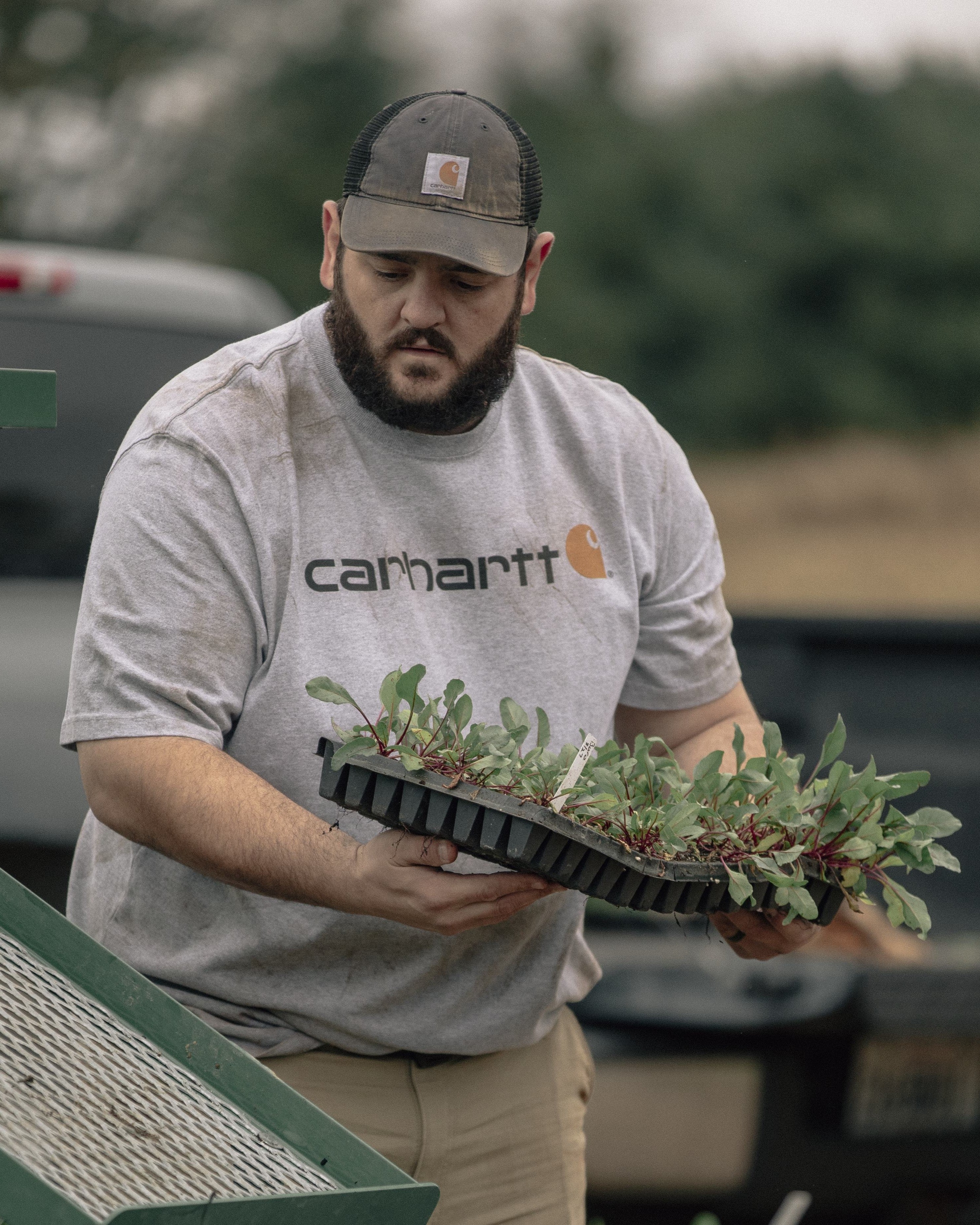 Carhartt Loose Fit Heavyweight Short-Sleeve Logo Graphic T-Shirt