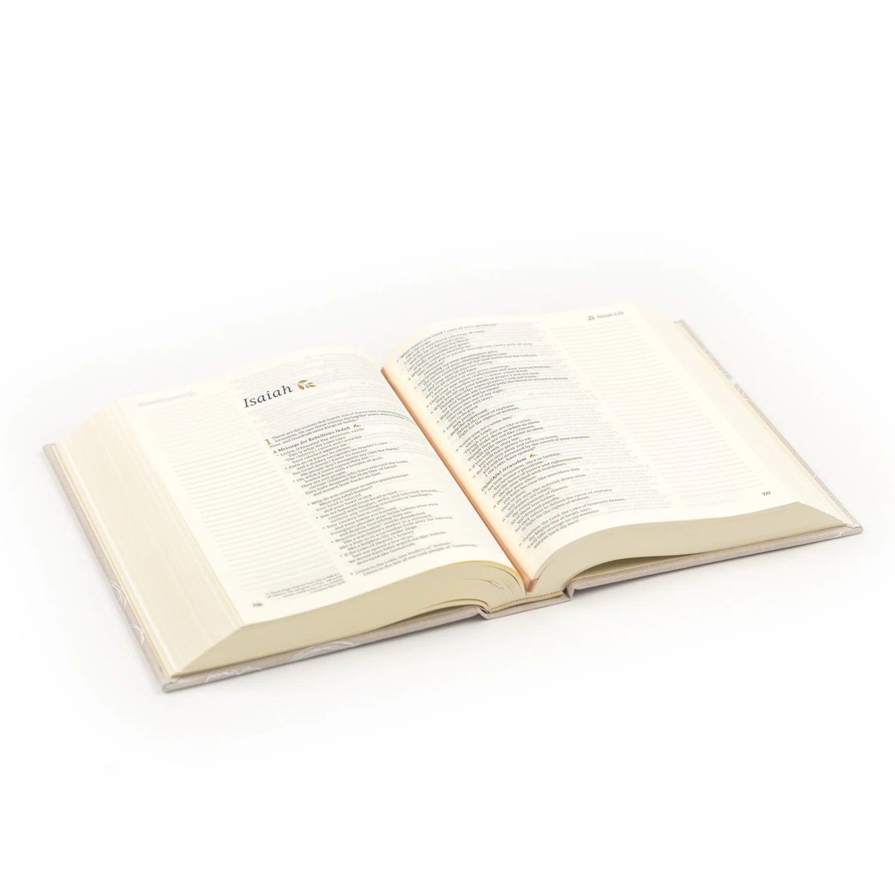 NLT Notetaking Bible : Cordova Theme