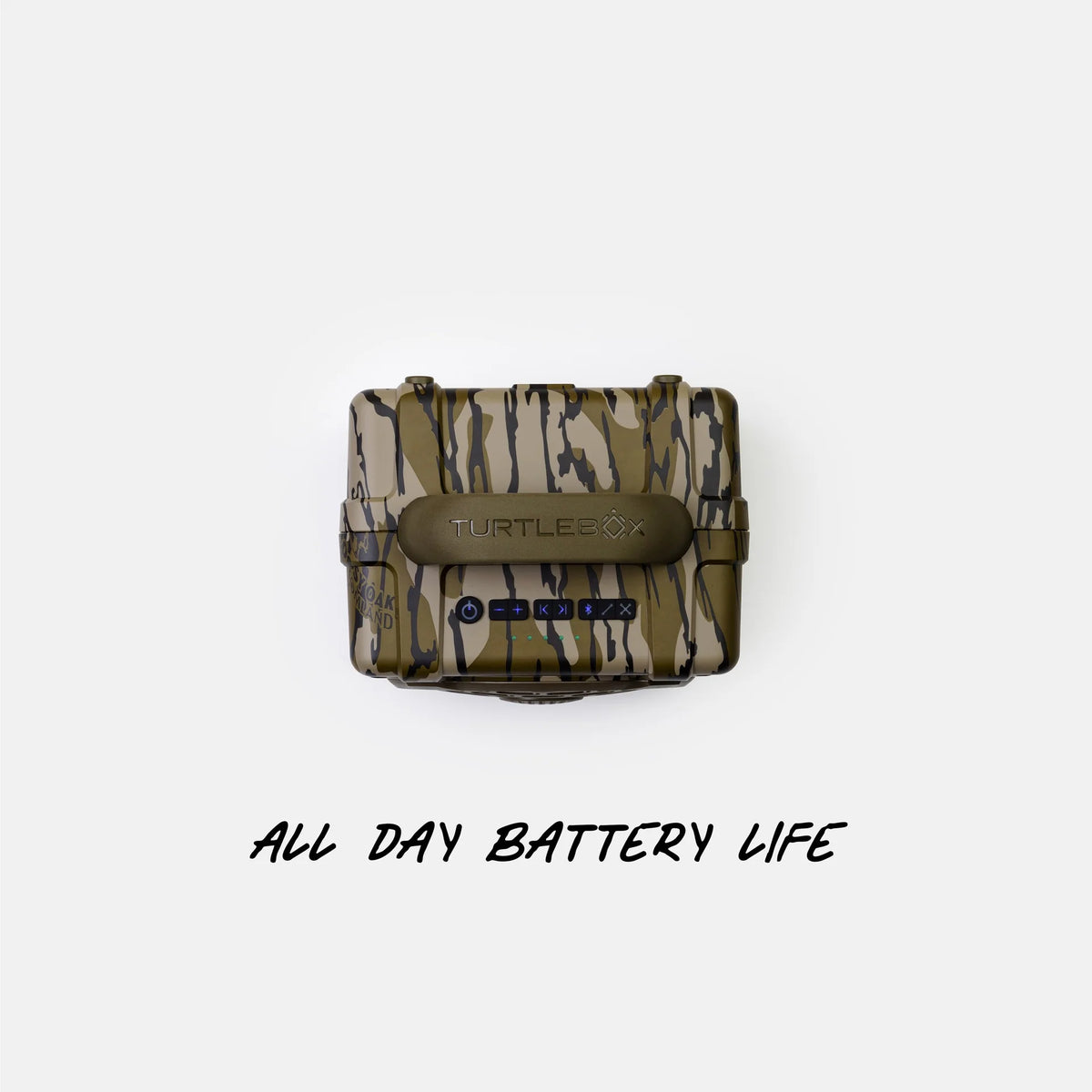TurtleBox Original: Cub in Bottomland