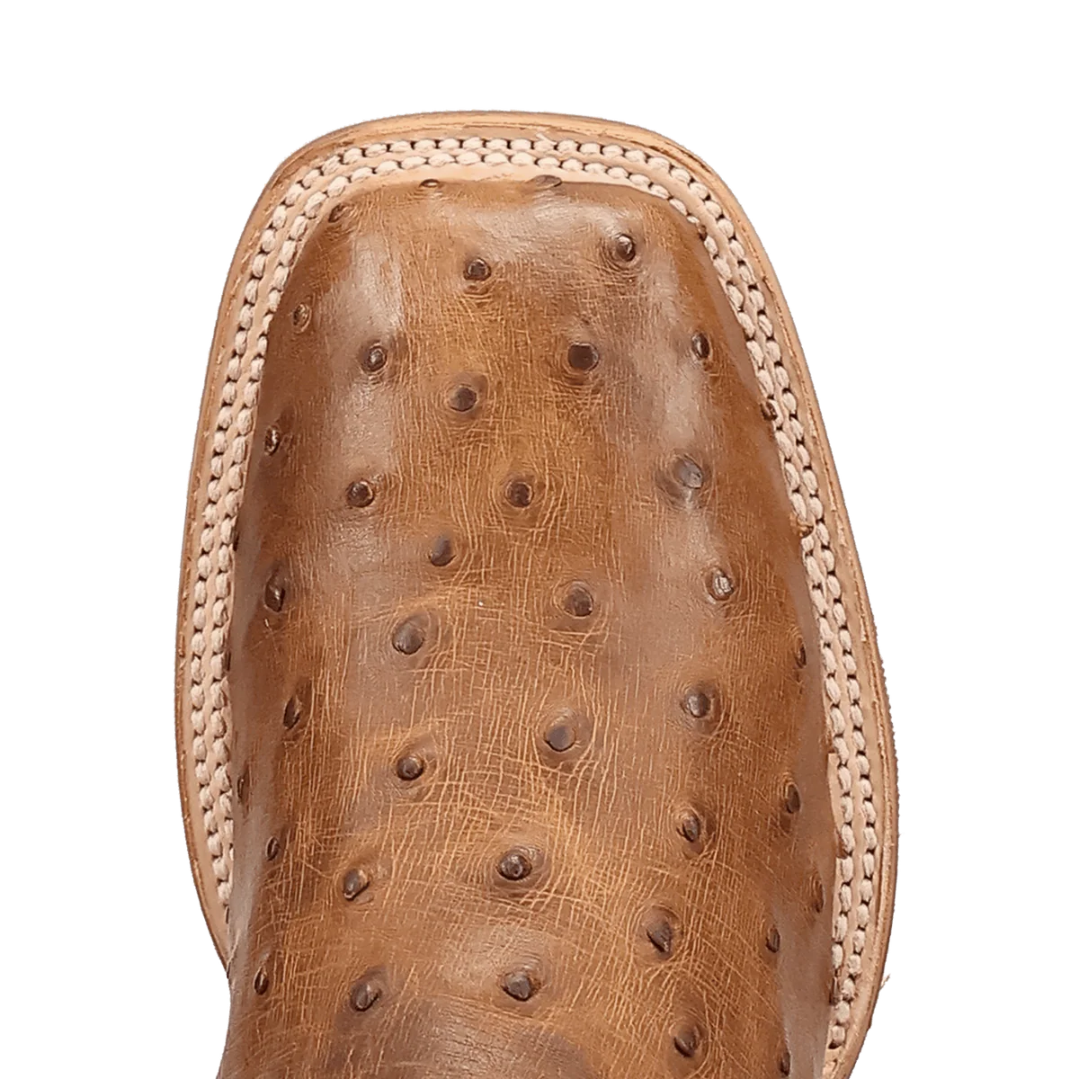 Dan Post Men's Drayden Full Quill Ostrich Boots