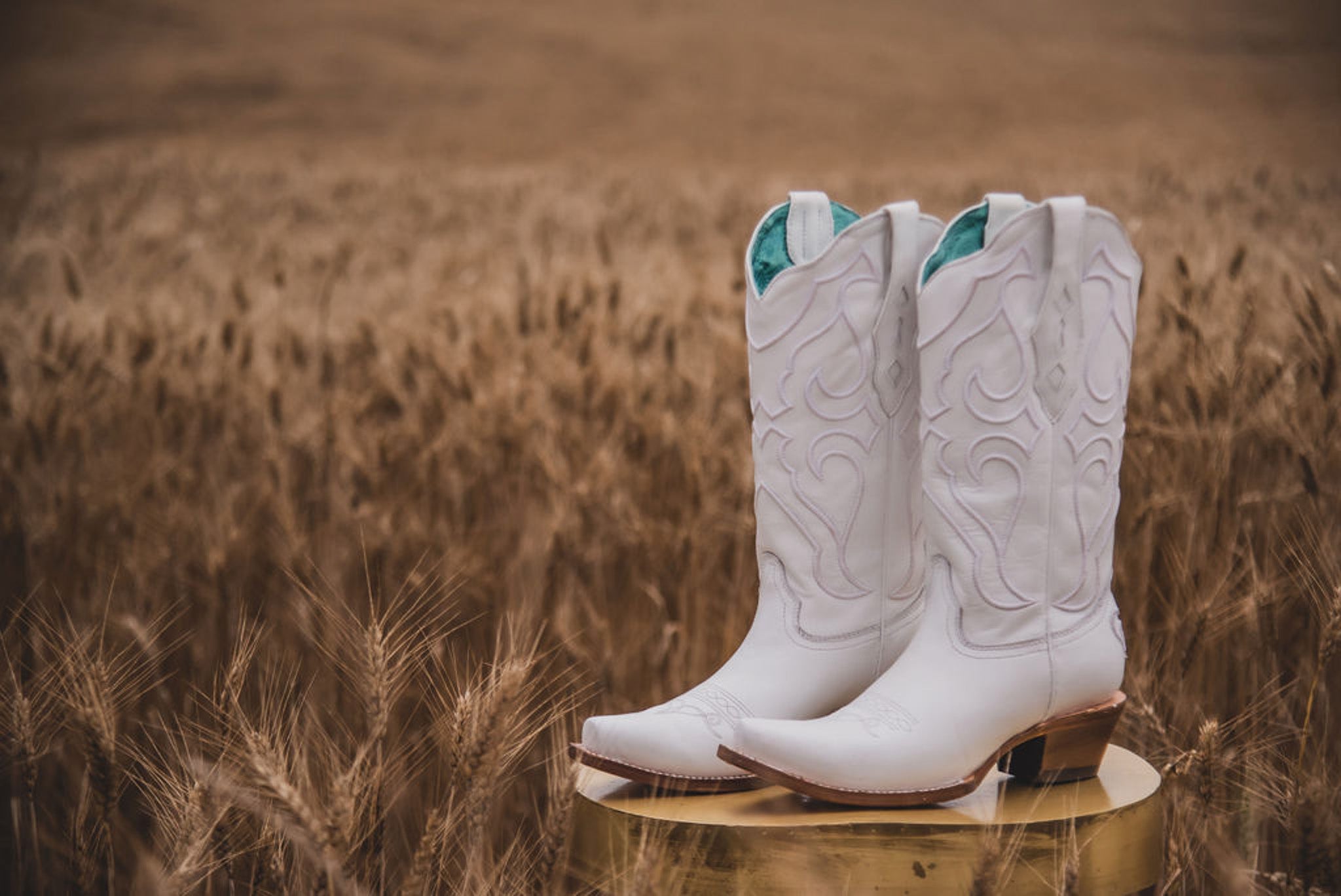 CORRAL WHITE EMBROIDERY POINT TOE BOOT