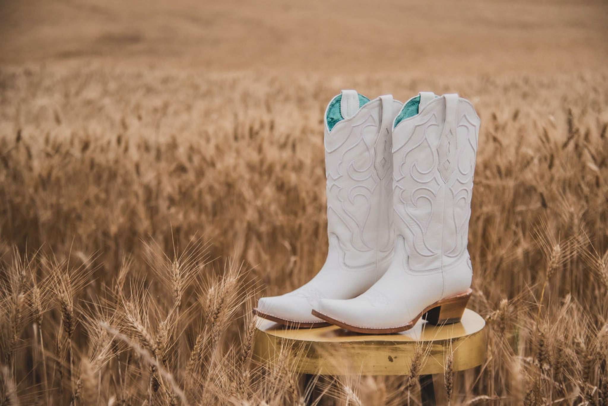 CORRAL WHITE EMBROIDERY POINT TOE BOOT