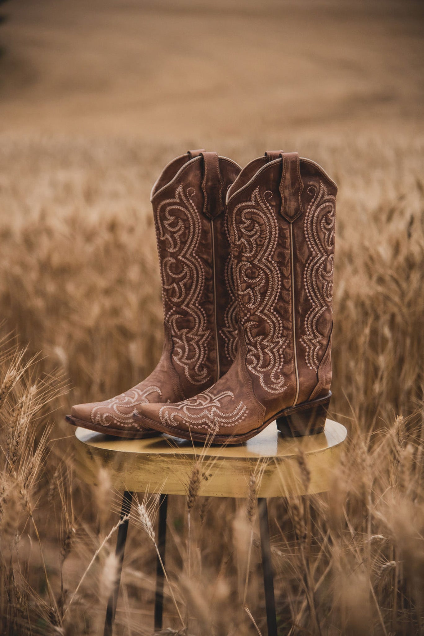 BOTAS PARA MUJER CIRCLE G BY CORRAL MARRÓN CON BORDADO SEQUENCE