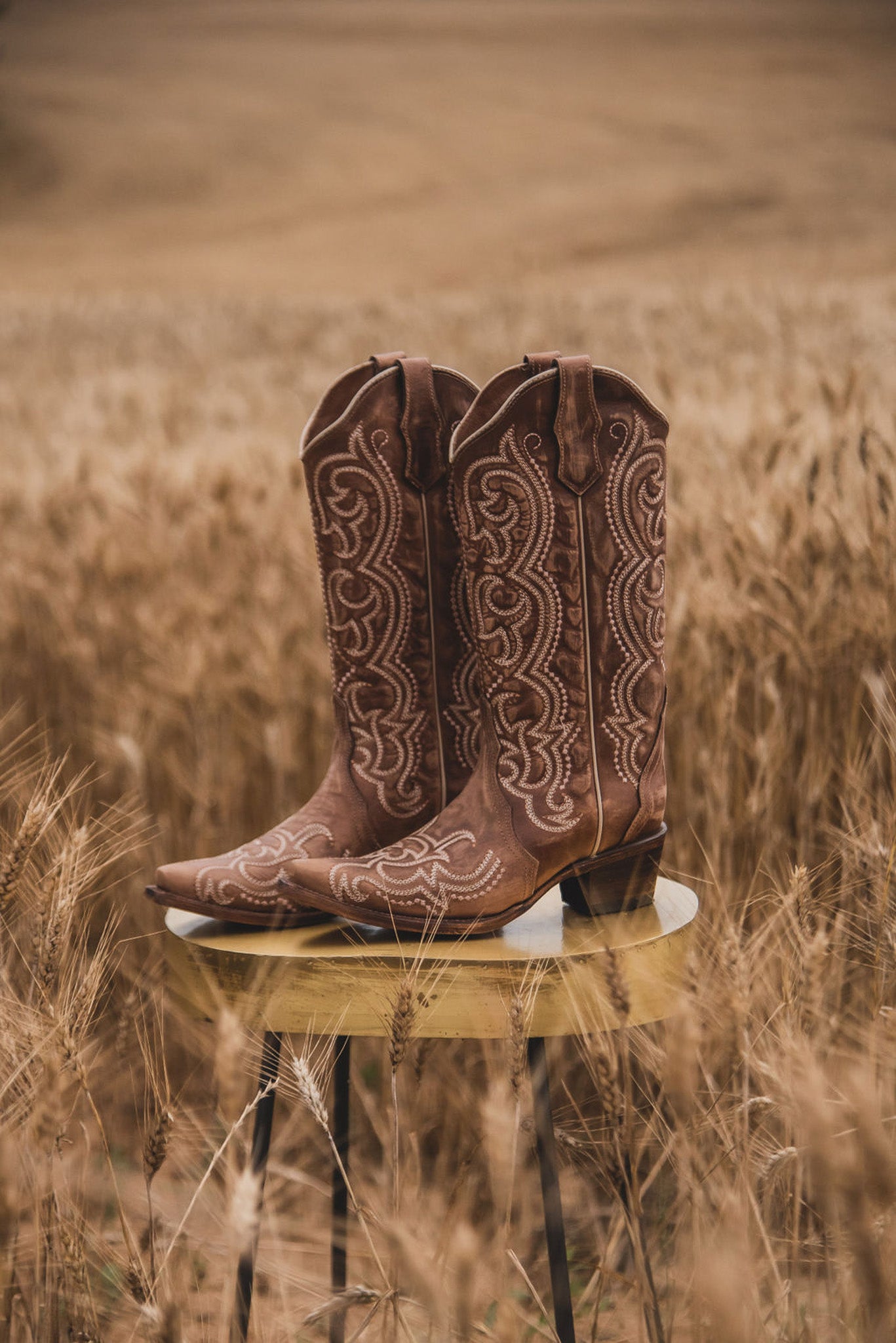 WOMEN'S CIRCLE G BY CORRAL BROWN SEQUENCE EMBROIDERY BOOTS