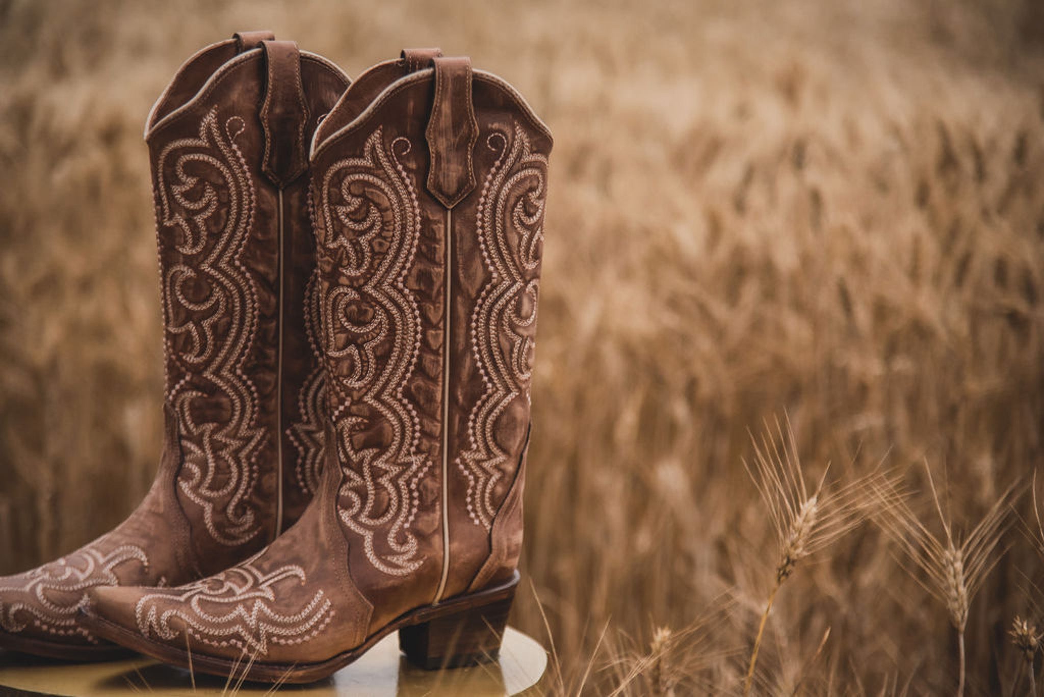 WOMEN'S CIRCLE G BY CORRAL BROWN SEQUENCE EMBROIDERY BOOTS