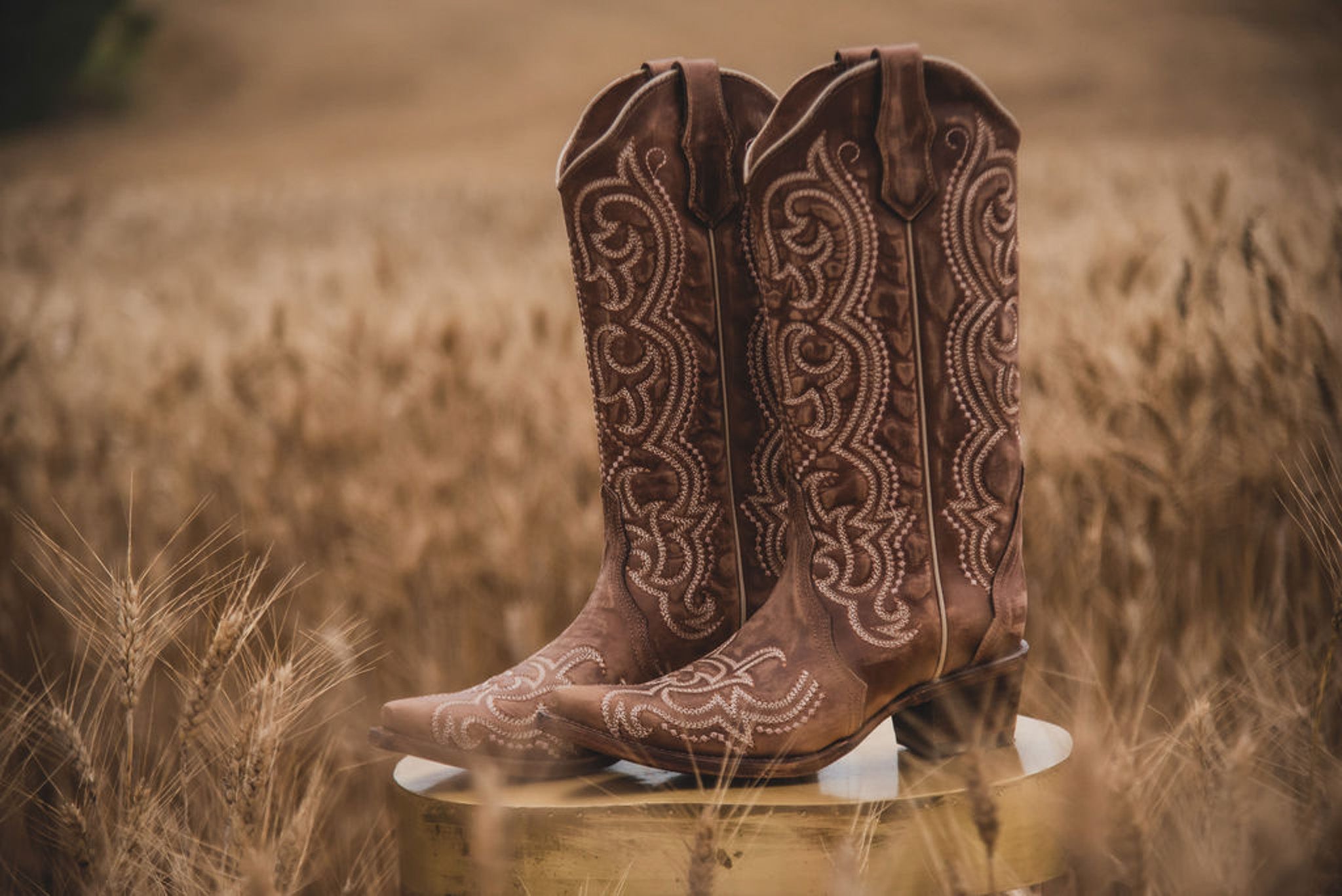 WOMEN'S CIRCLE G BY CORRAL BROWN SEQUENCE EMBROIDERY BOOTS
