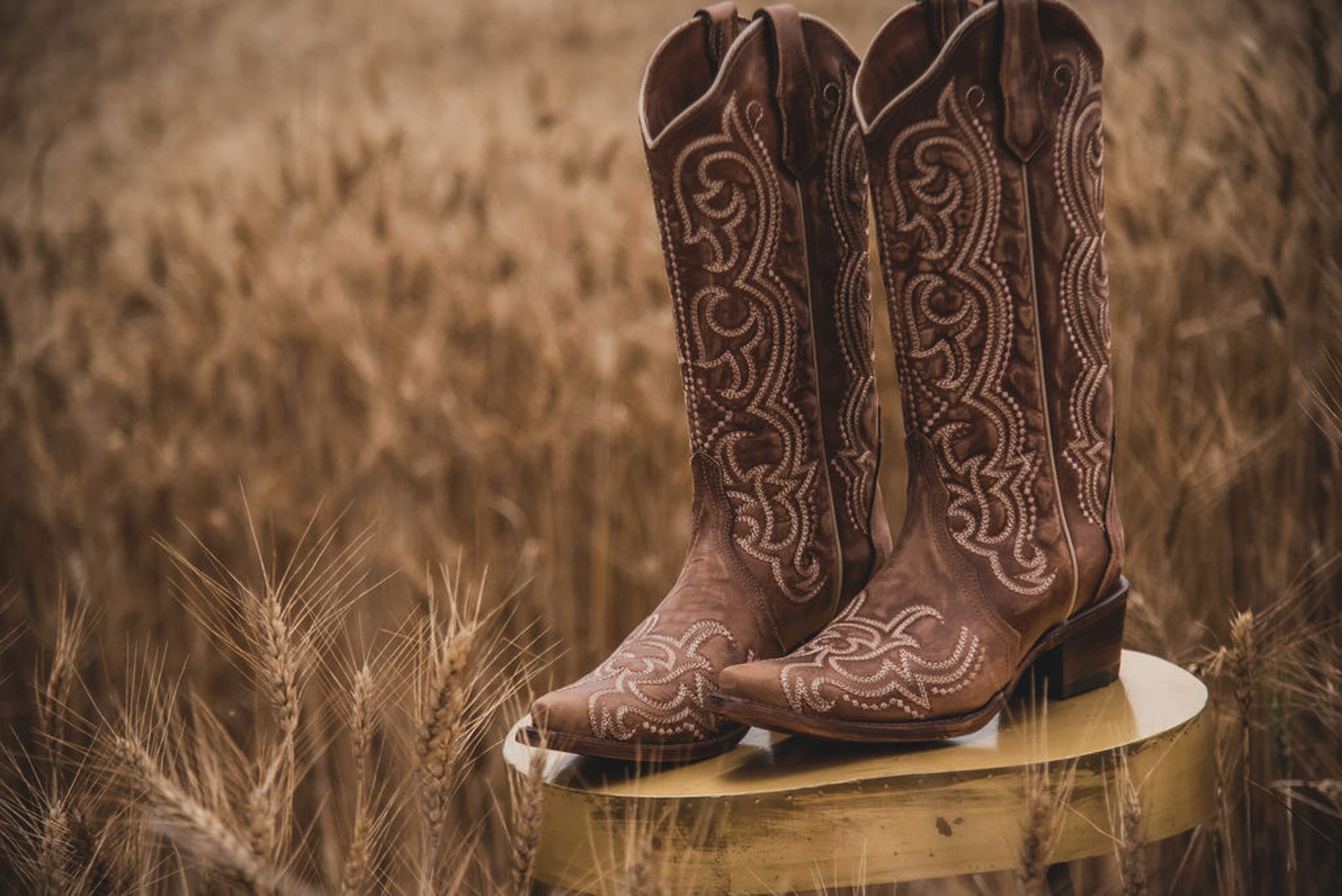 WOMEN'S CIRCLE G BY CORRAL BROWN SEQUENCE EMBROIDERY BOOTS