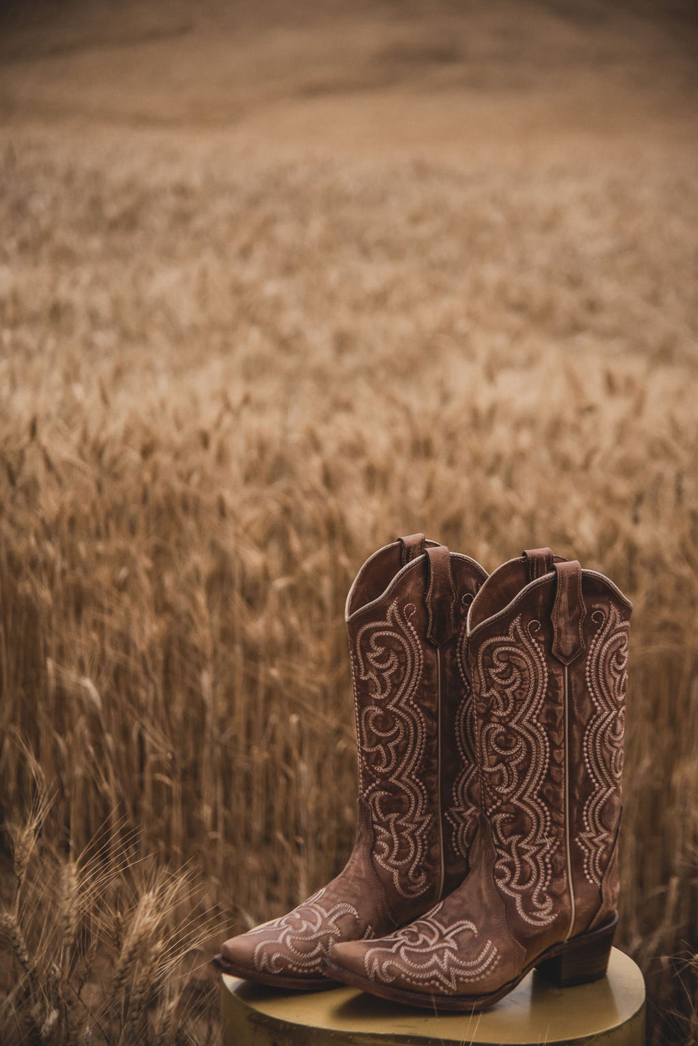 WOMEN'S CIRCLE G BY CORRAL BROWN SEQUENCE EMBROIDERY BOOTS