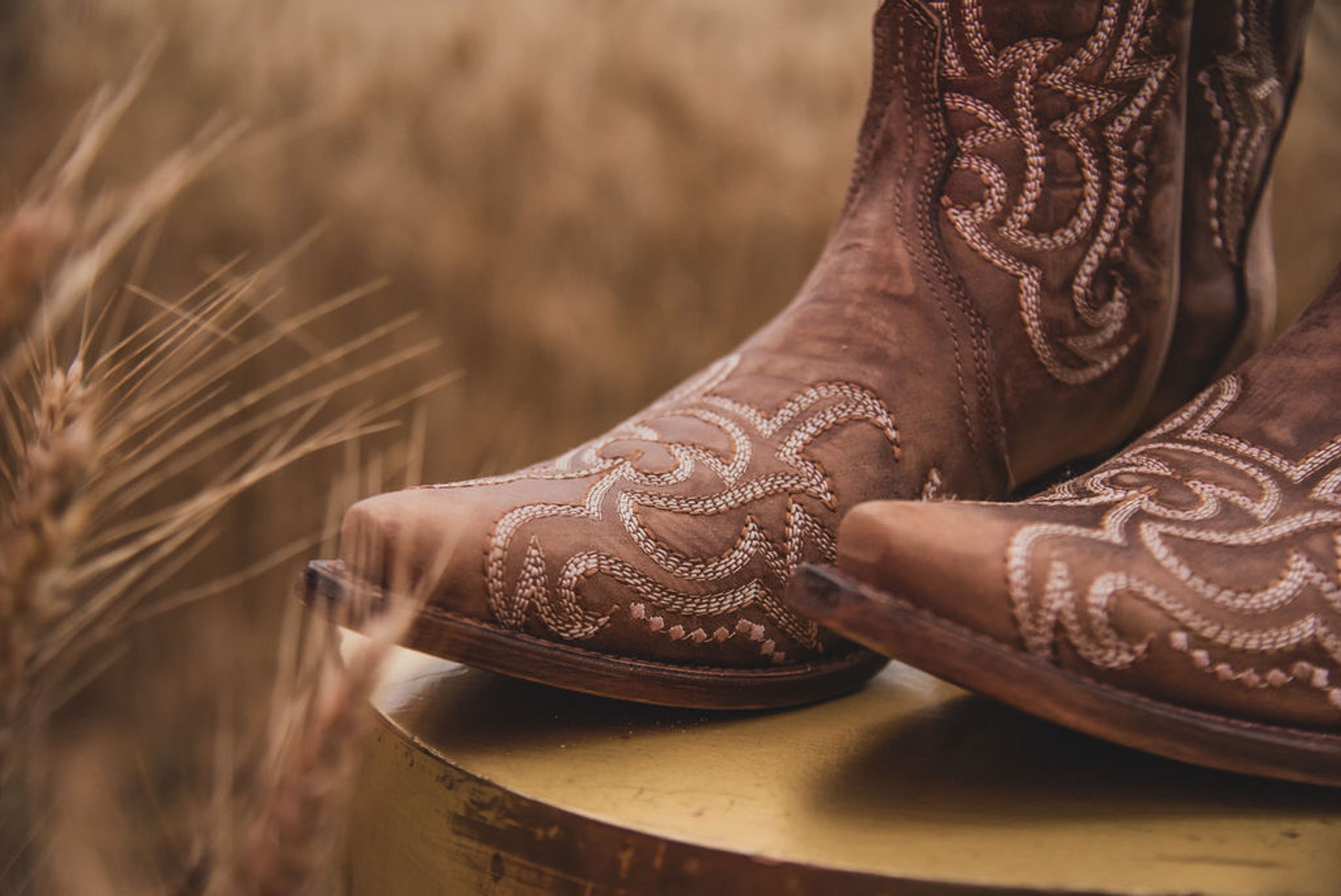 WOMEN'S CIRCLE G BY CORRAL BROWN SEQUENCE EMBROIDERY BOOTS