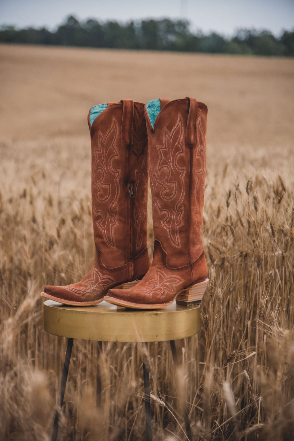 Women's Corral Shedron Suede Tall Boots