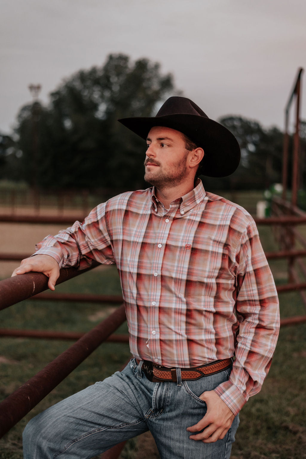 Men's Cinch Woven Plaid Button Shirt