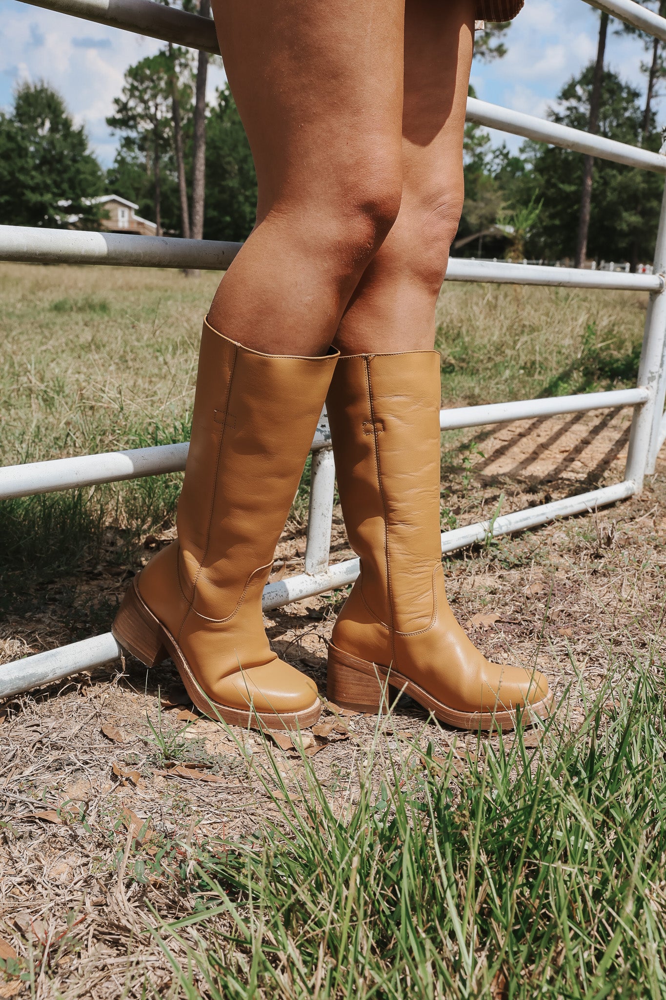 Women's Dingo Vagabond Fashion Boots in Mustard