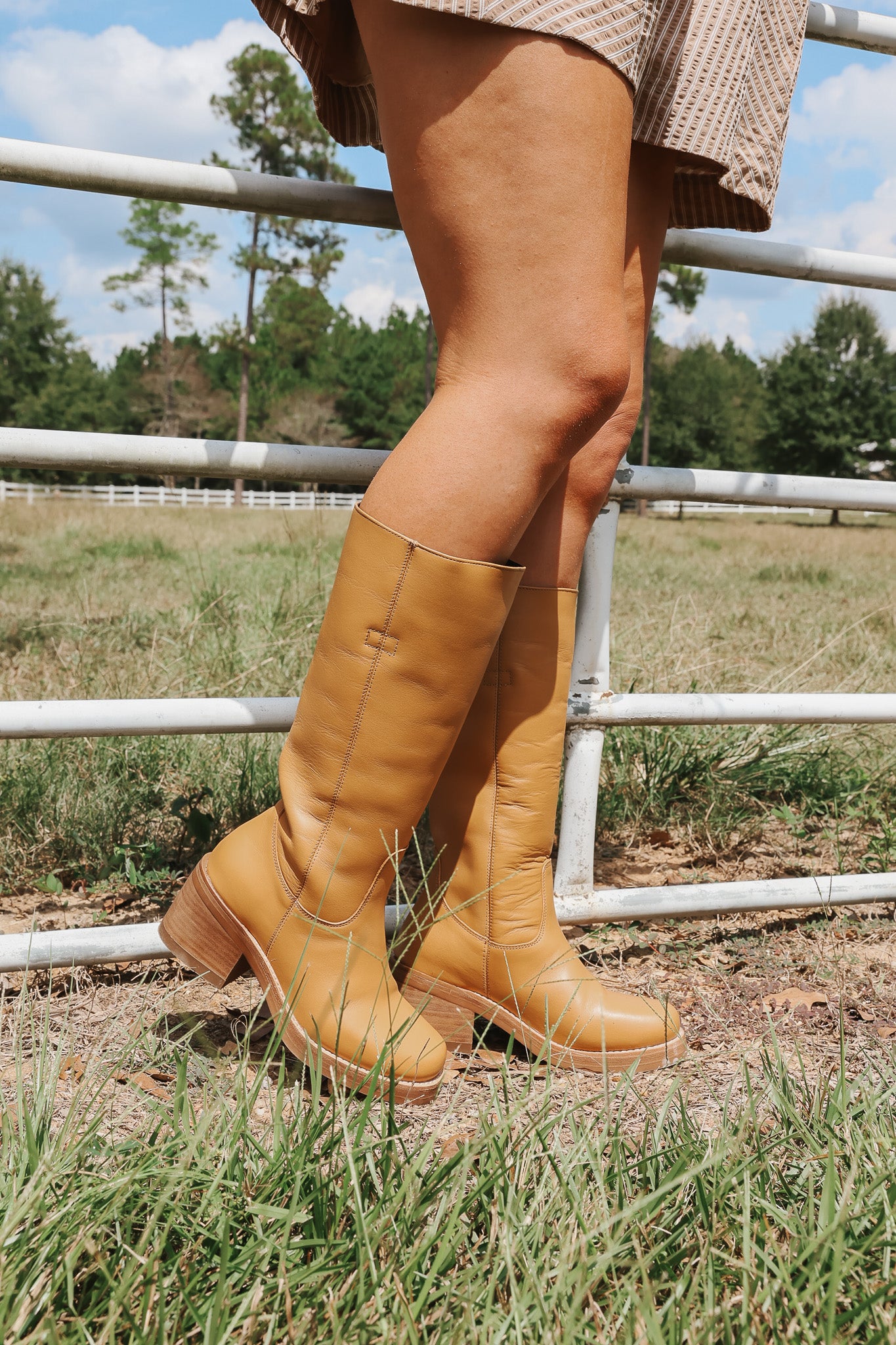 Women's Dingo Vagabond Fashion Boots in Mustard