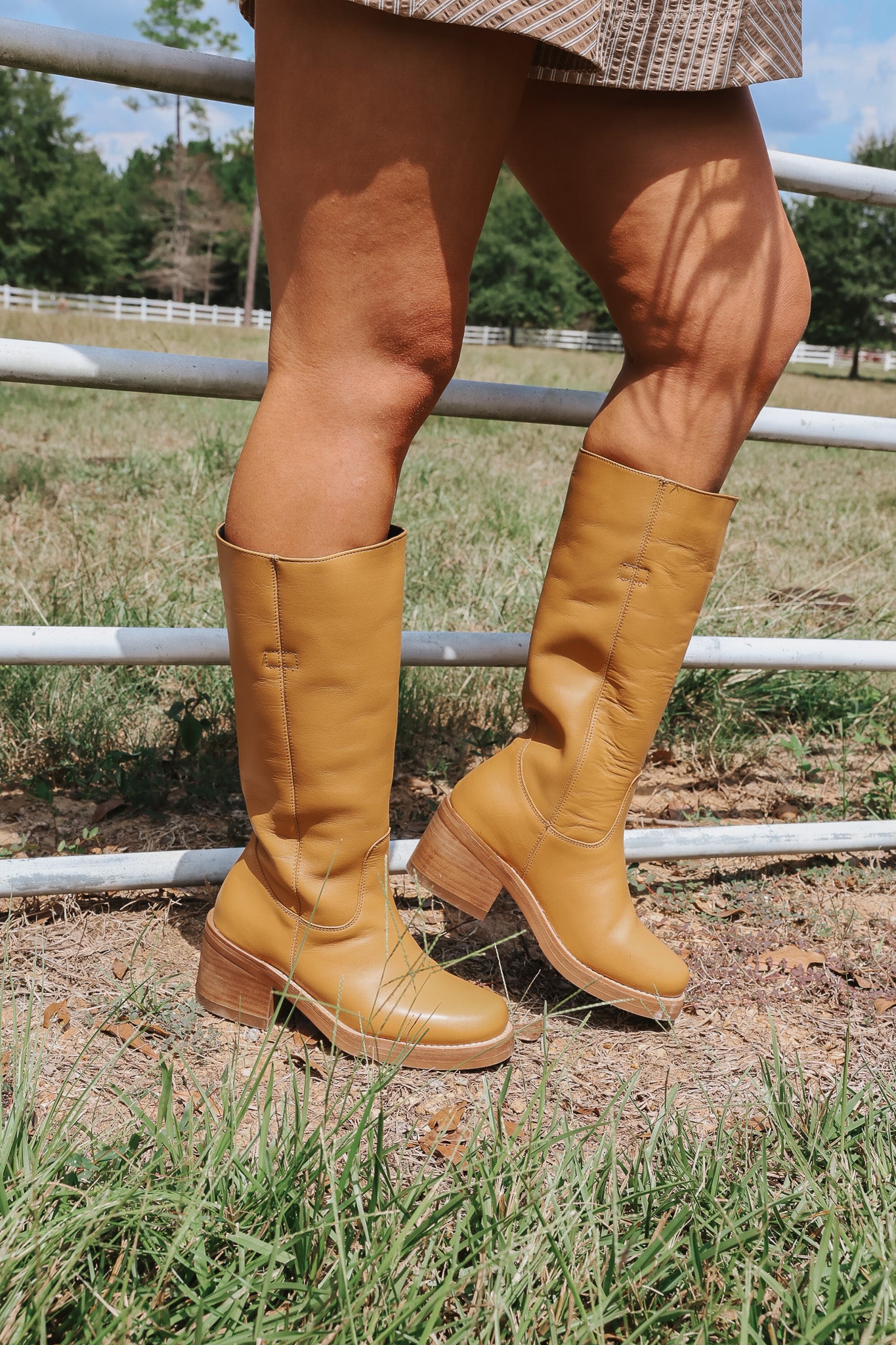 Women's Dingo Vagabond Fashion Boots in Mustard
