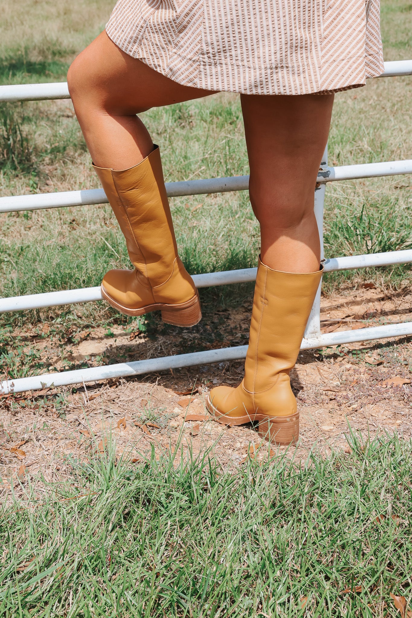 Women's Dingo Vagabond Fashion Boots in Mustard