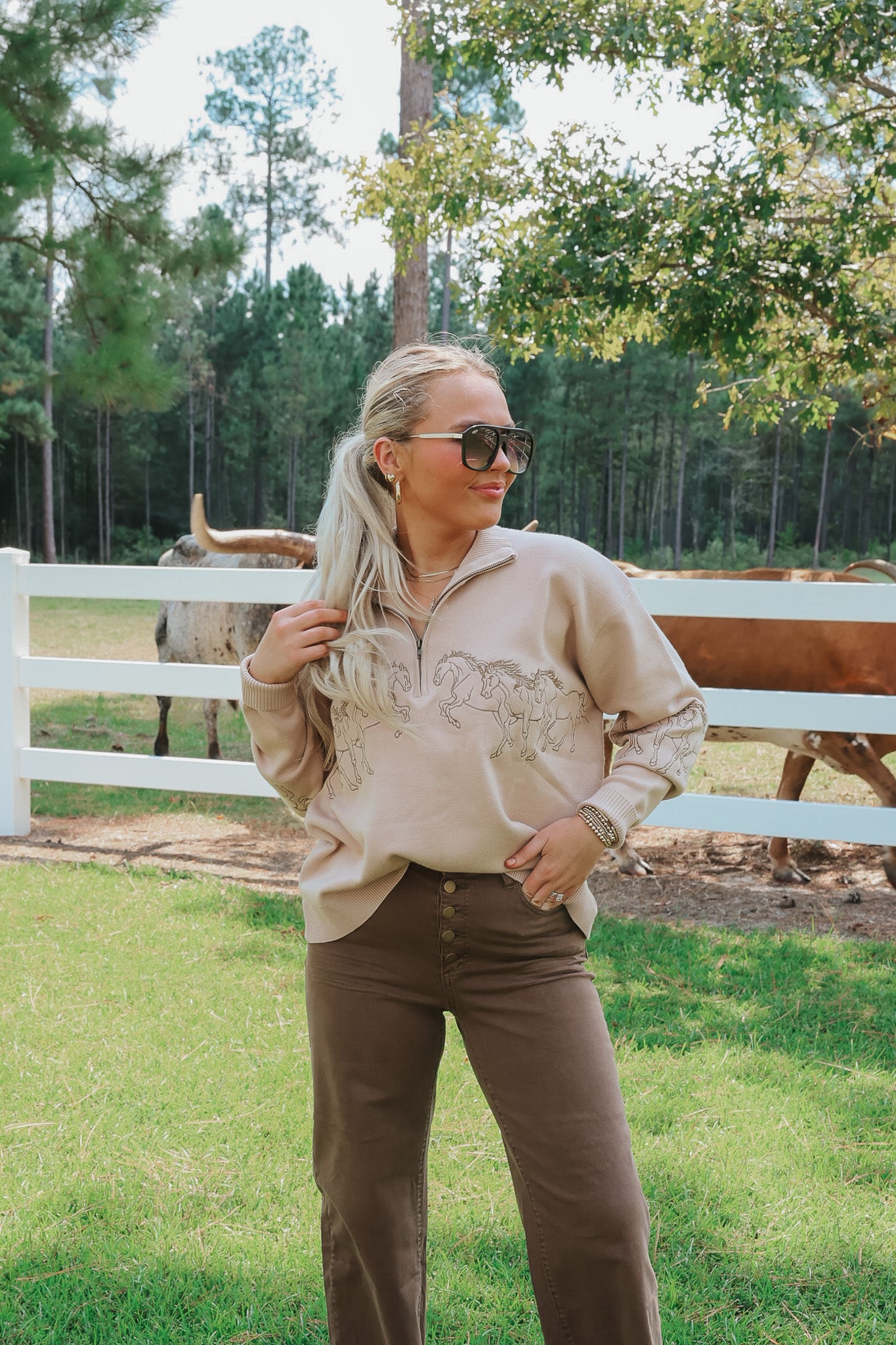 Hold Your Horses Taupe Sweater