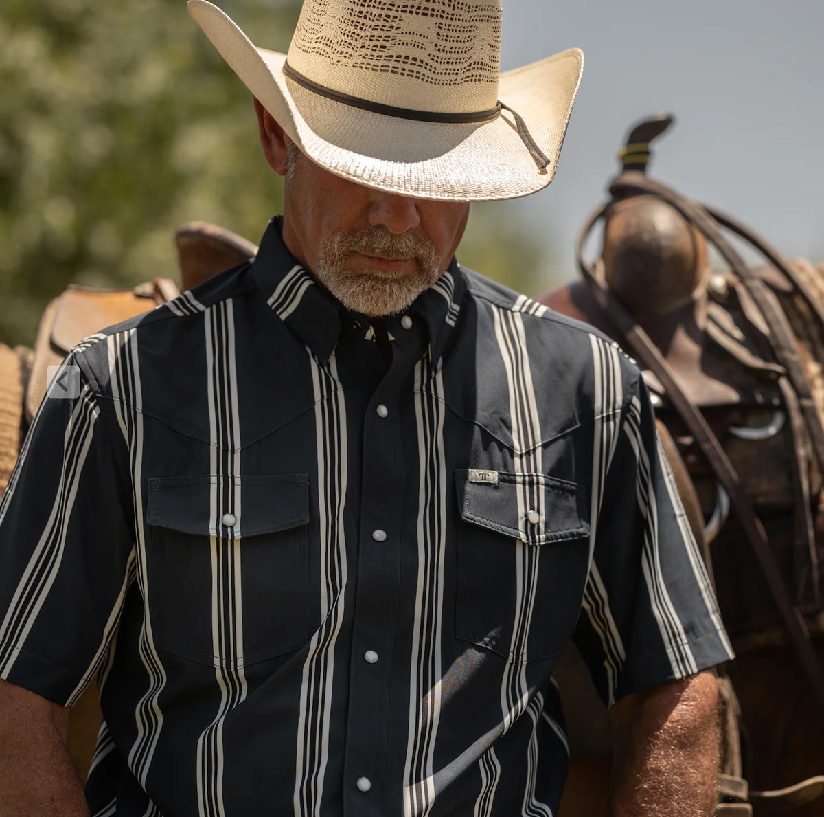 Ferrell | The Hatfield in Blue - Short Sleeve Pearl Snap Shirt