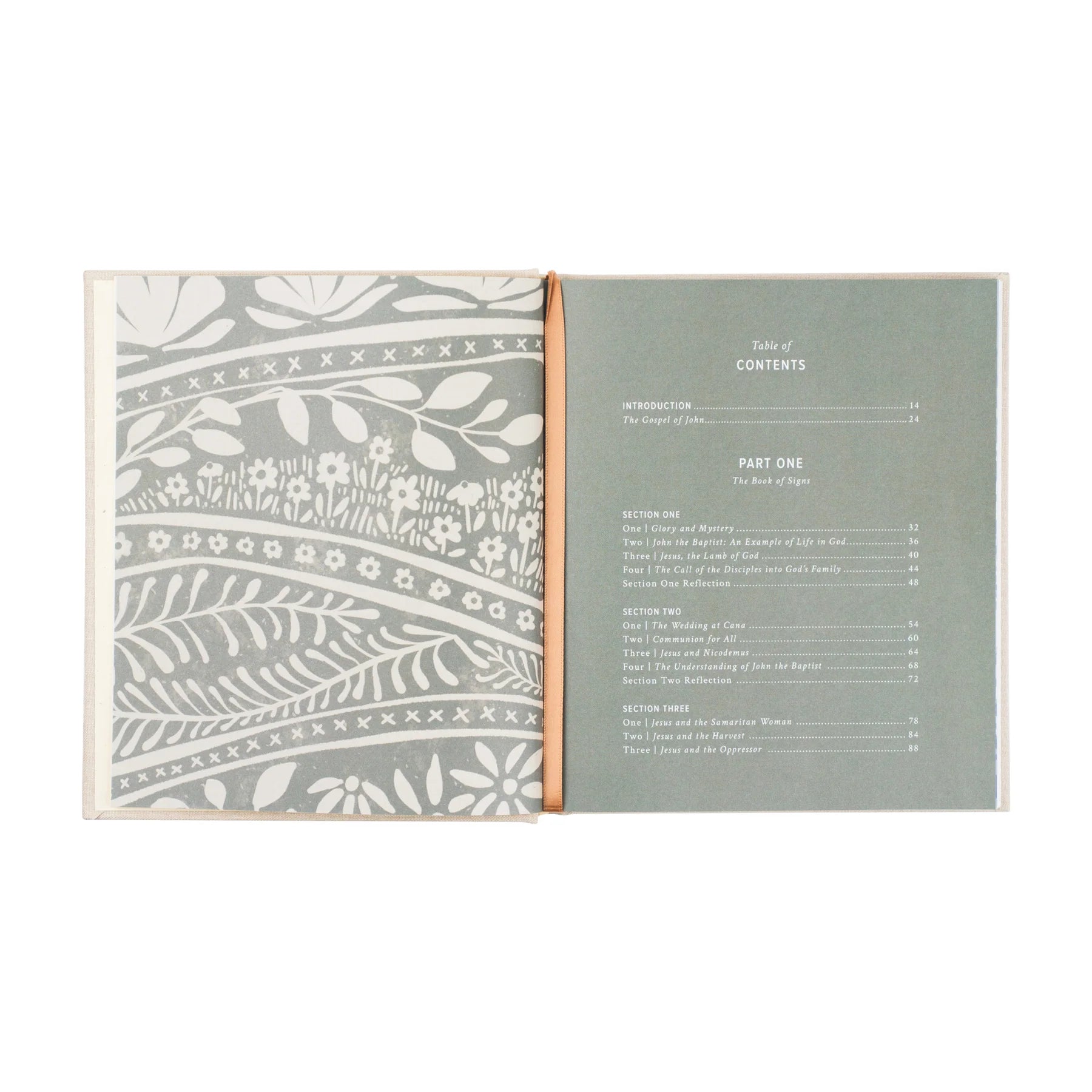 God Our Home Study Book