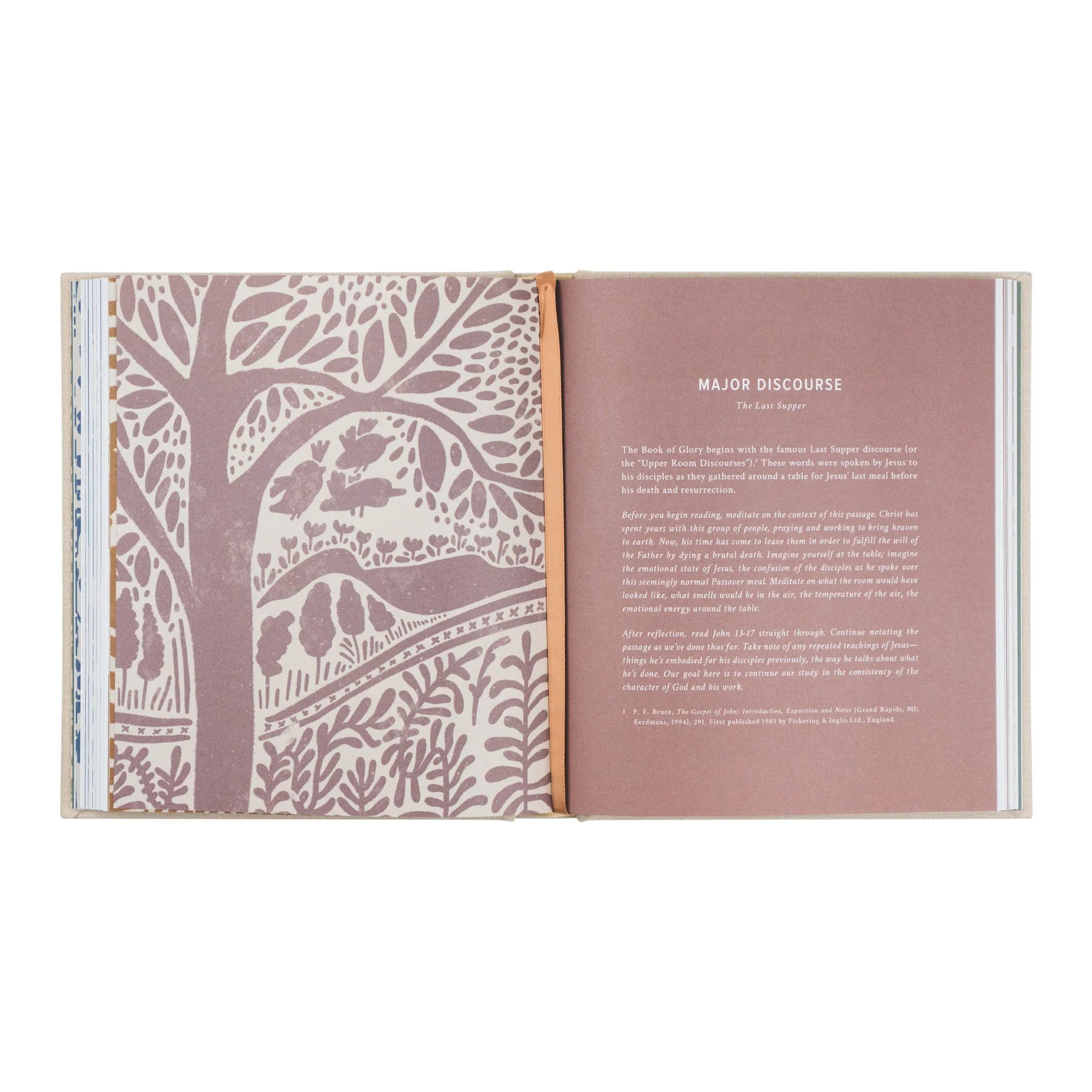 God Our Home Study Book