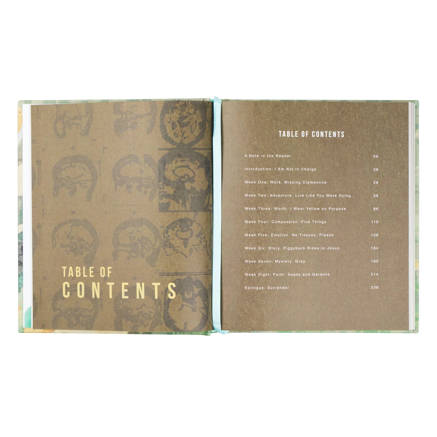 Hosanna Revival I Am Not In Charge Study Book