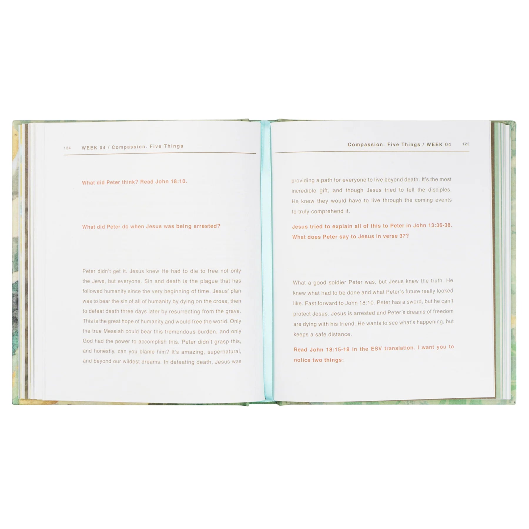 Hosanna Revival I Am Not In Charge Study Book