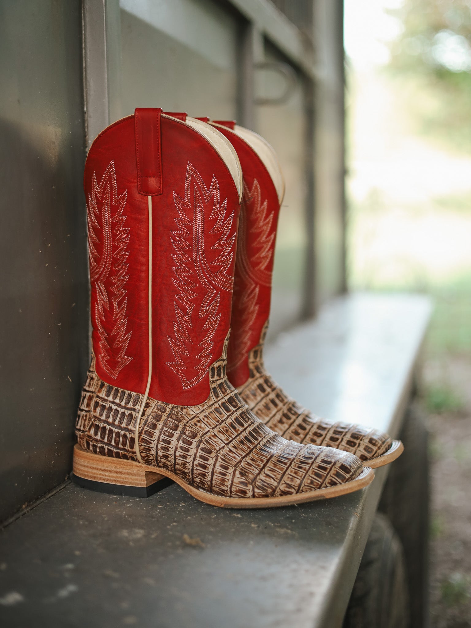 Men's Horse Power Cigar Sundance Caiman Tail with 13" Red Texas Tops
