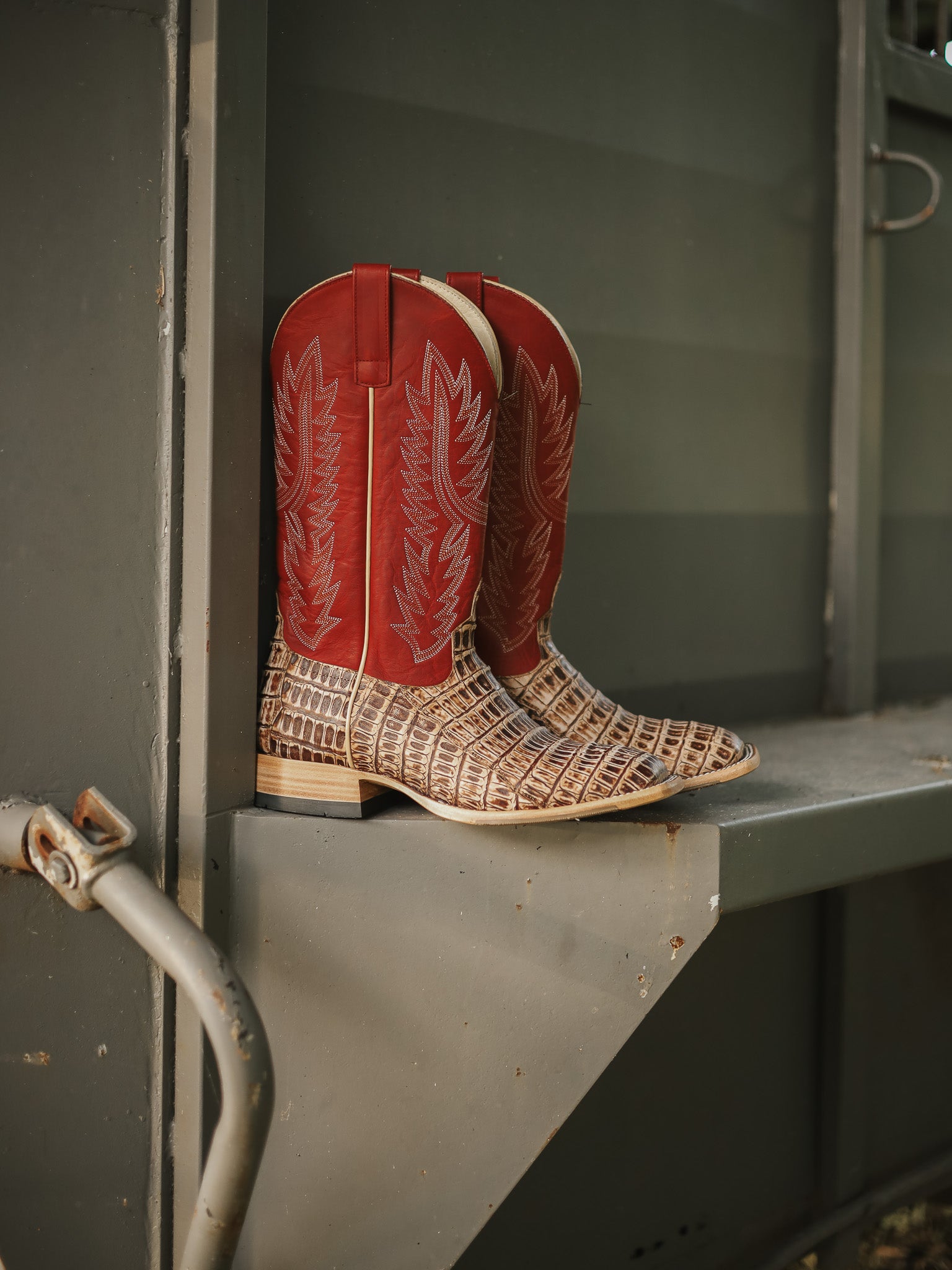 Men's Horse Power Cigar Sundance Caiman Tail with 13" Red Texas Tops