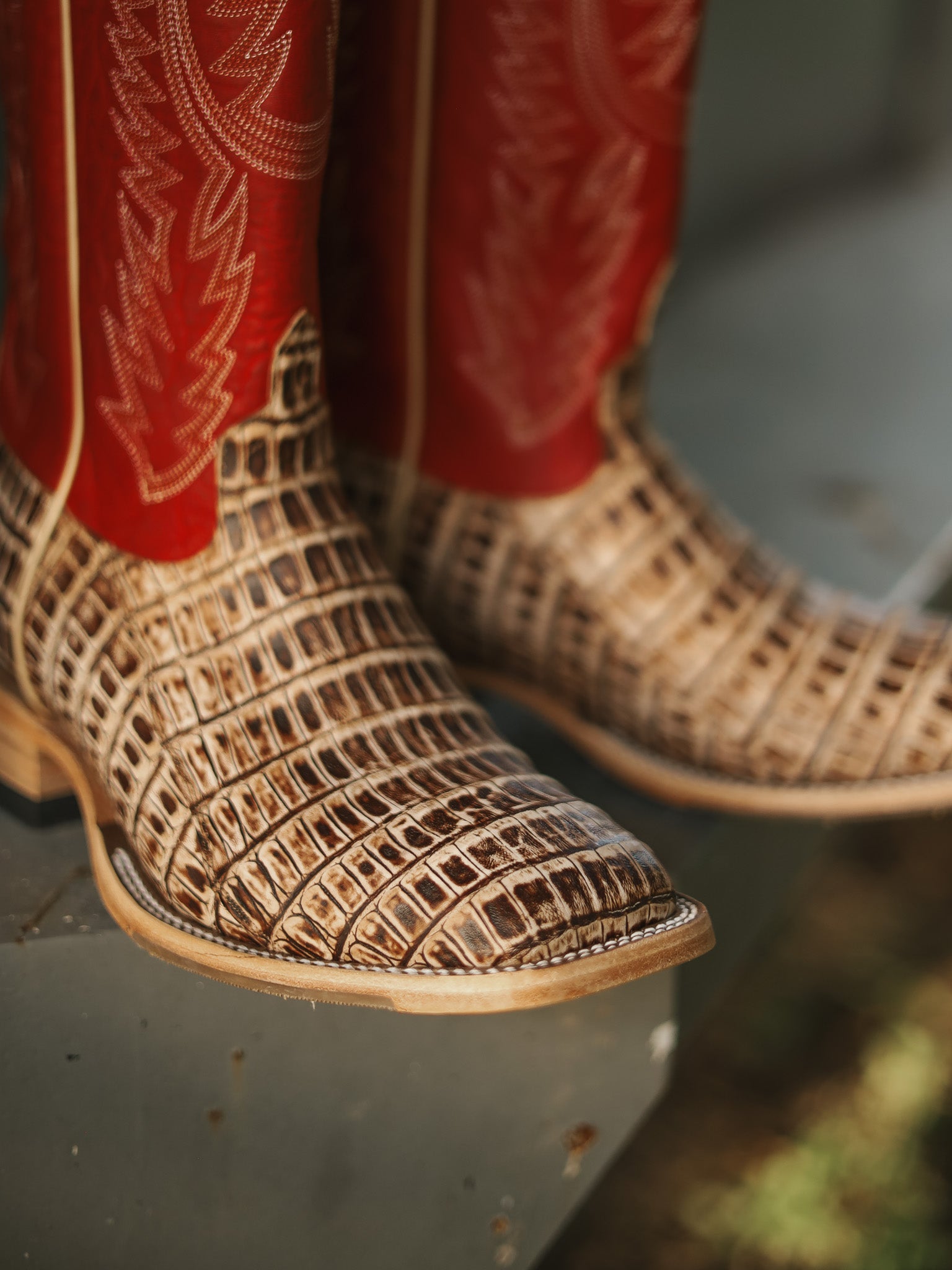 Men's Horse Power Cigar Sundance Caiman Tail with 13" Red Texas Tops