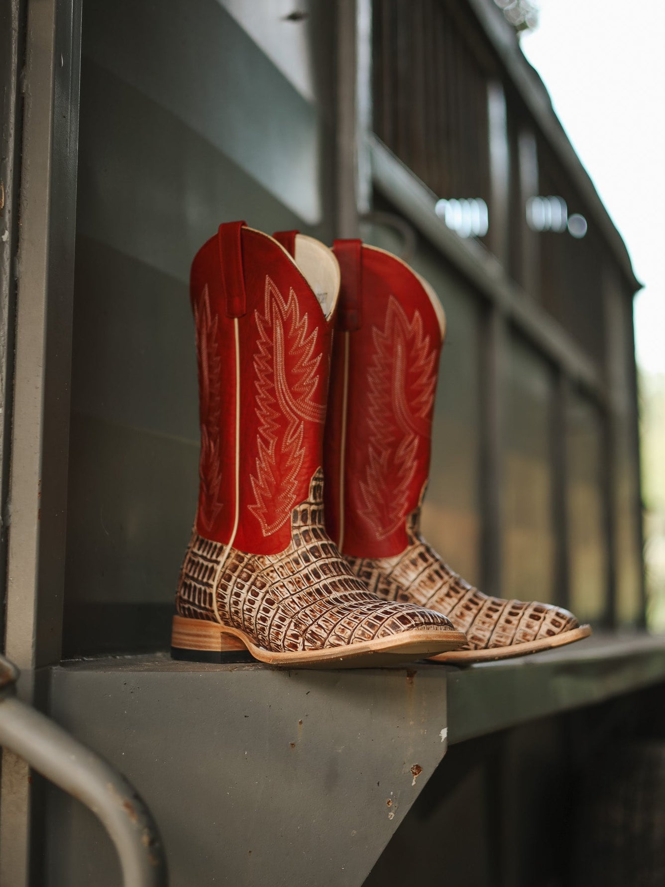 Men's Horse Power Cigar Sundance Caiman Tail with 13" Red Texas Tops