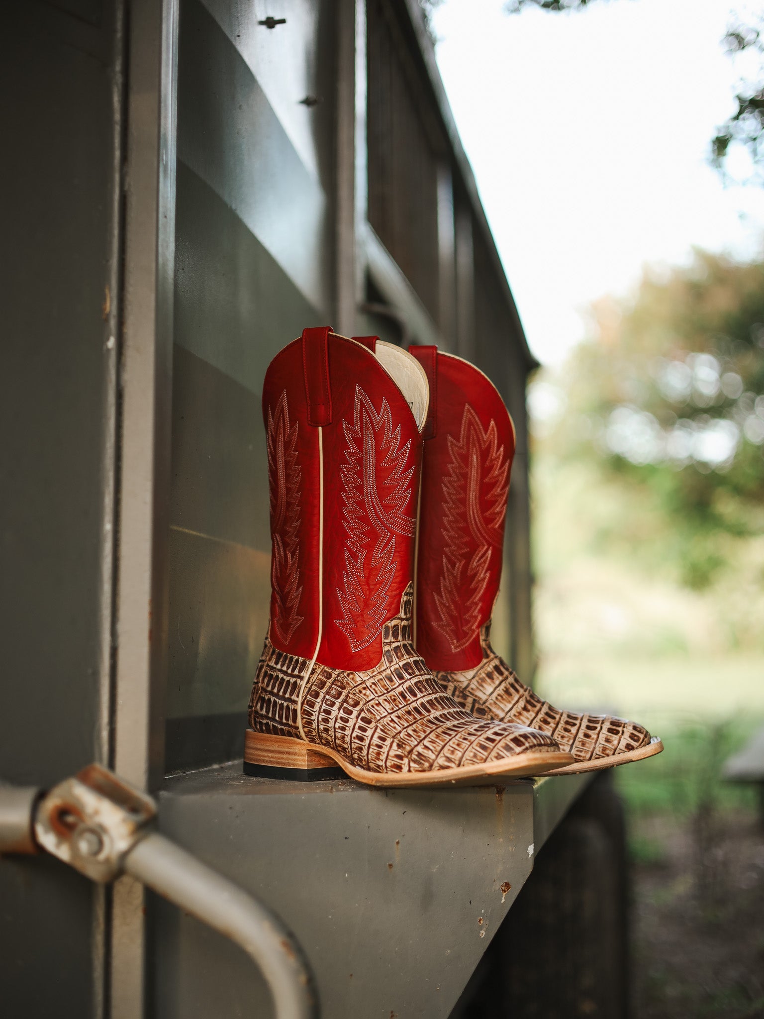 Men's Horse Power Cigar Sundance Caiman Tail with 13" Red Texas Tops
