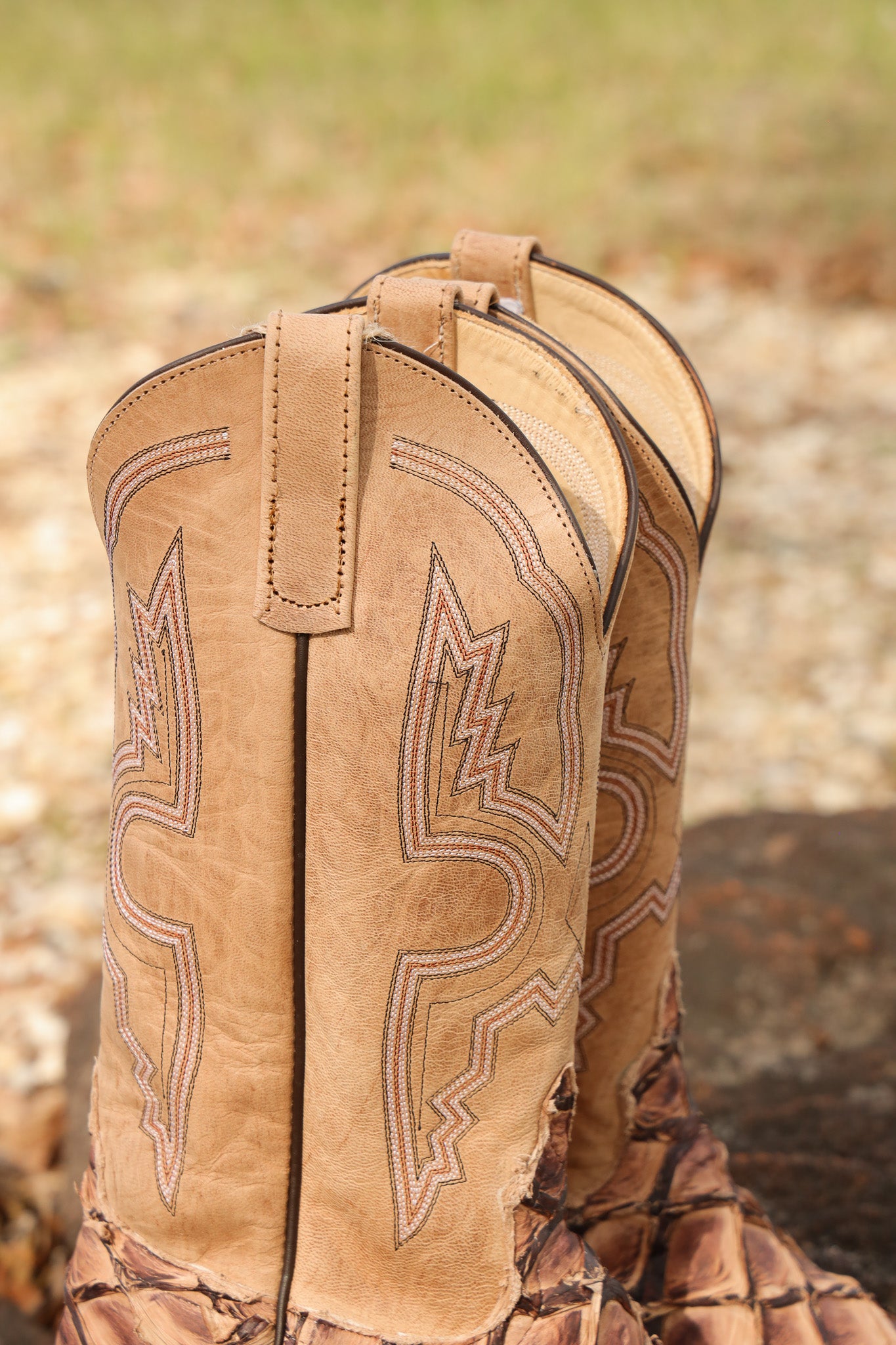 Men's Exclusive Anderson BC Exclusive Bean Cigar Matte Big Bass Boots