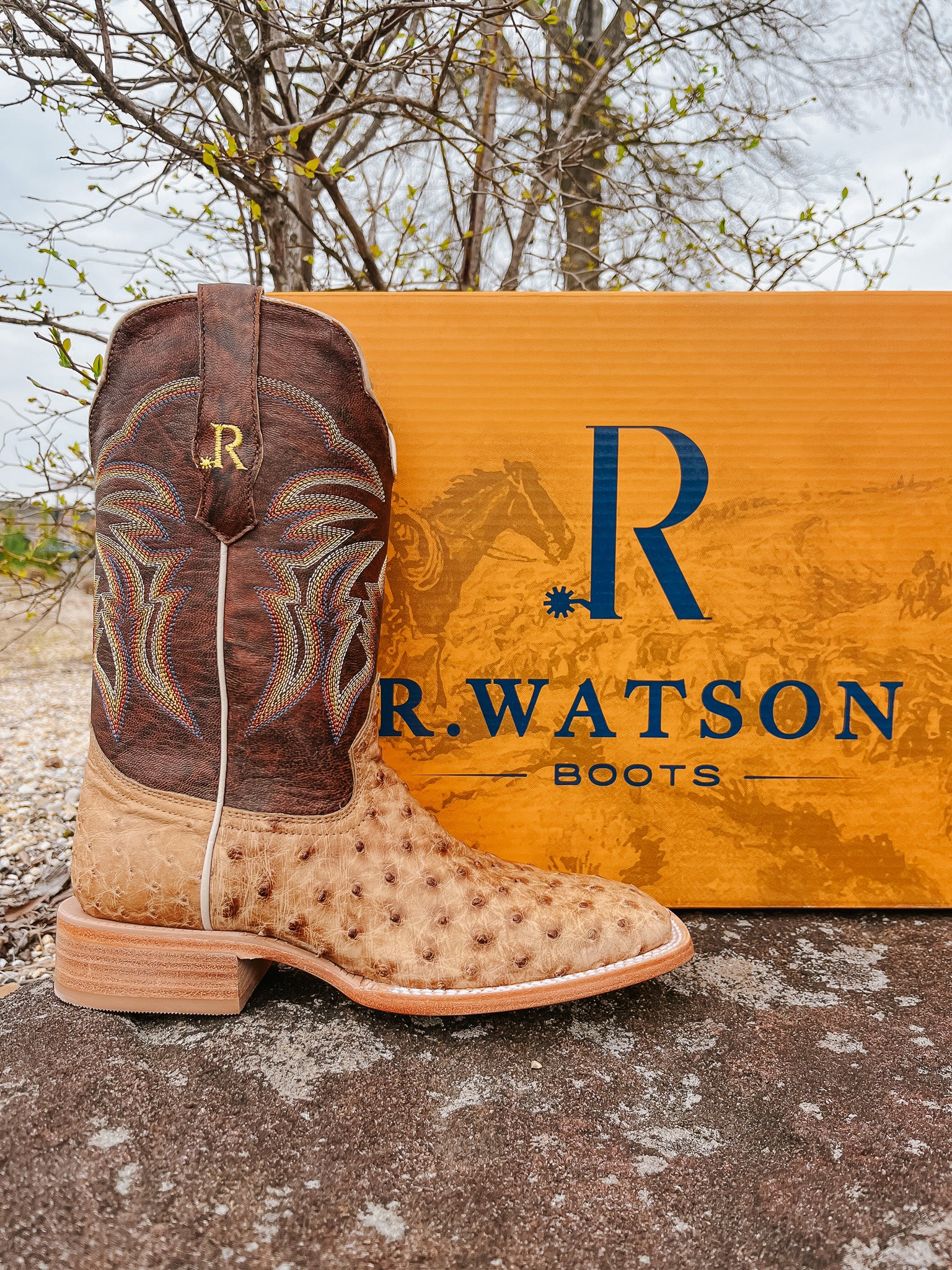 R. WATSON MEN'S ANTIQUE SADDLE FULL QUILL OSTRICH WESTERN BOOTS
