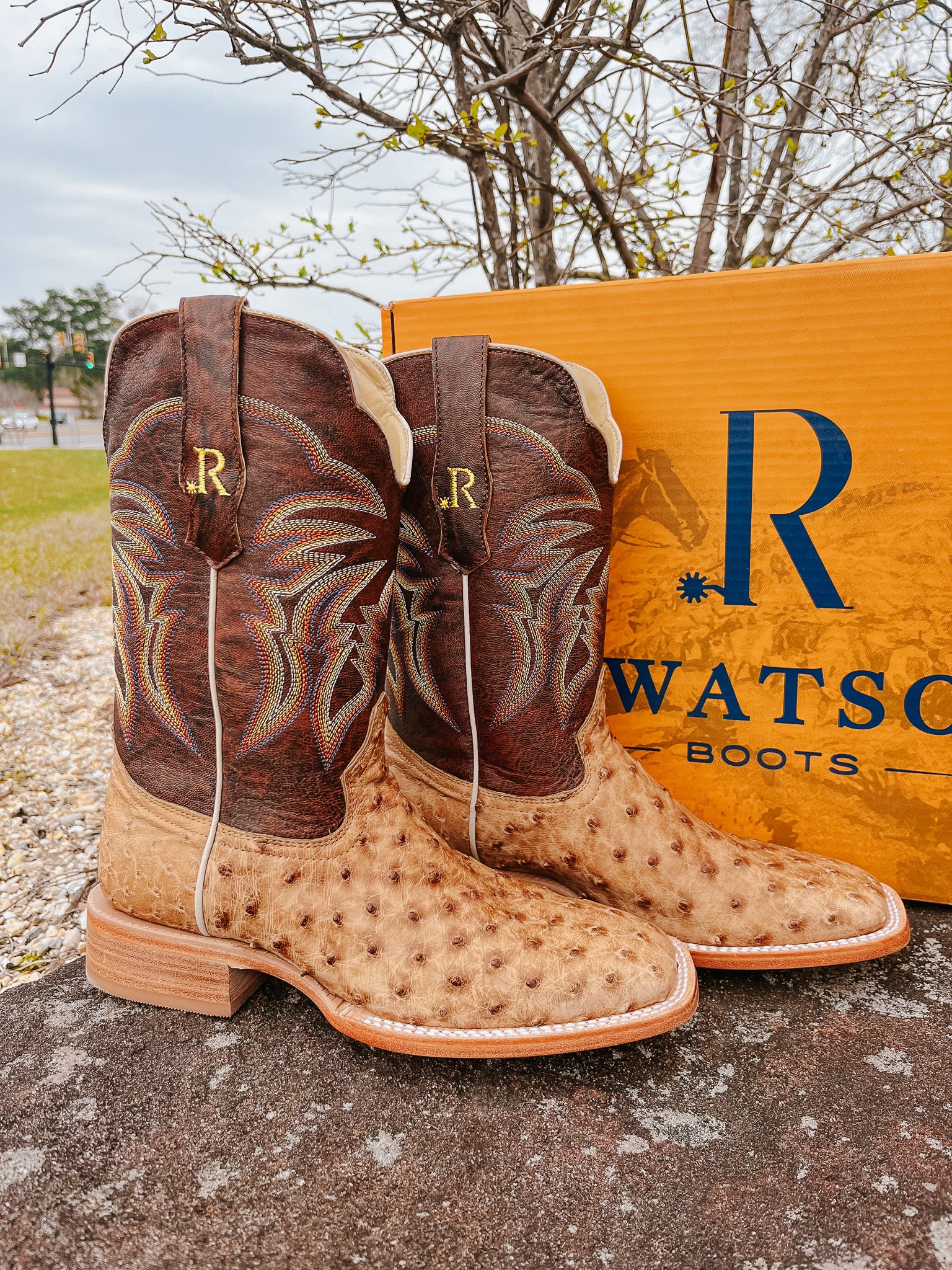 R. WATSON MEN'S ANTIQUE SADDLE FULL QUILL OSTRICH WESTERN BOOTS