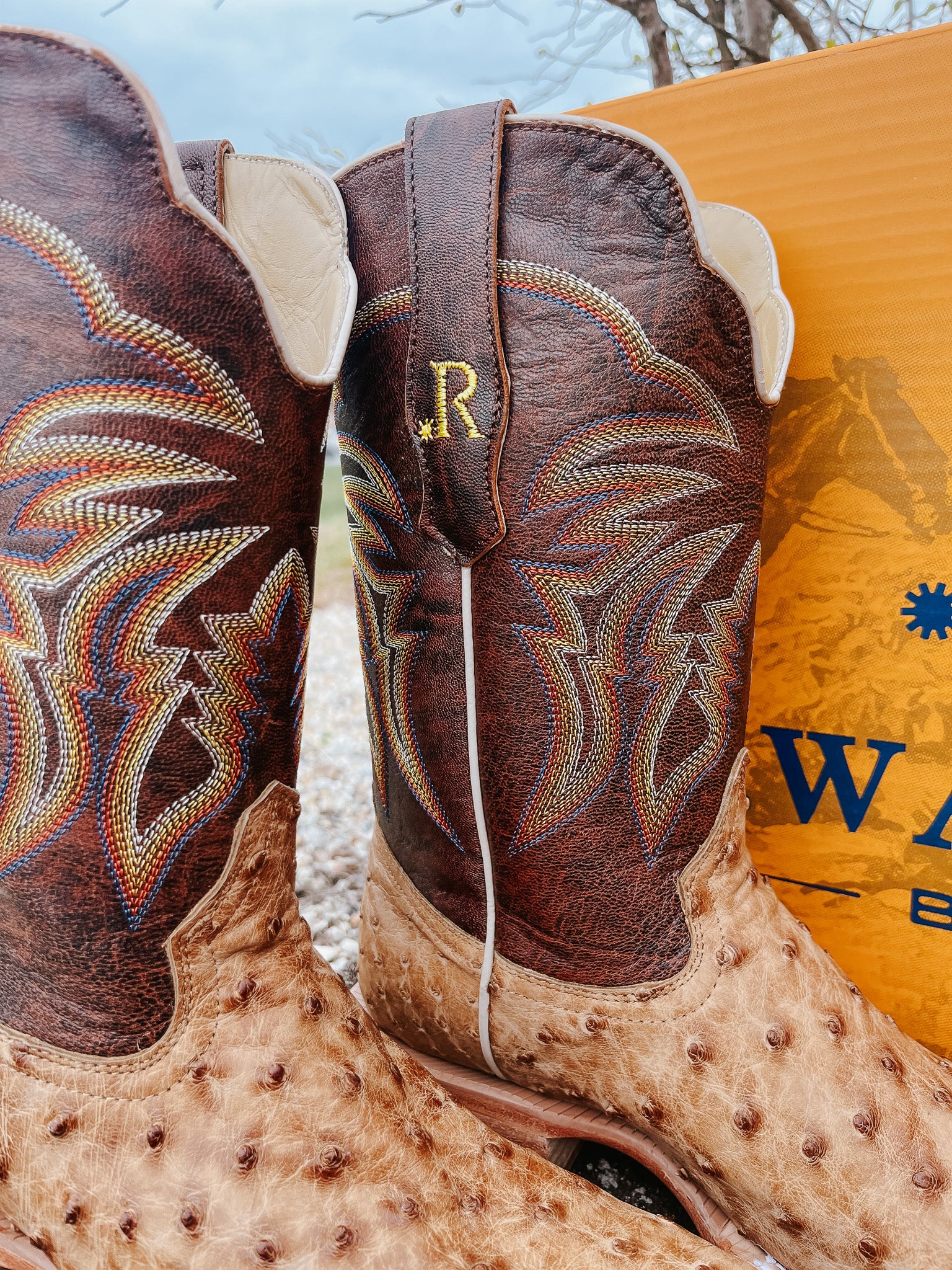 R. WATSON MEN'S ANTIQUE SADDLE FULL QUILL OSTRICH WESTERN BOOTS