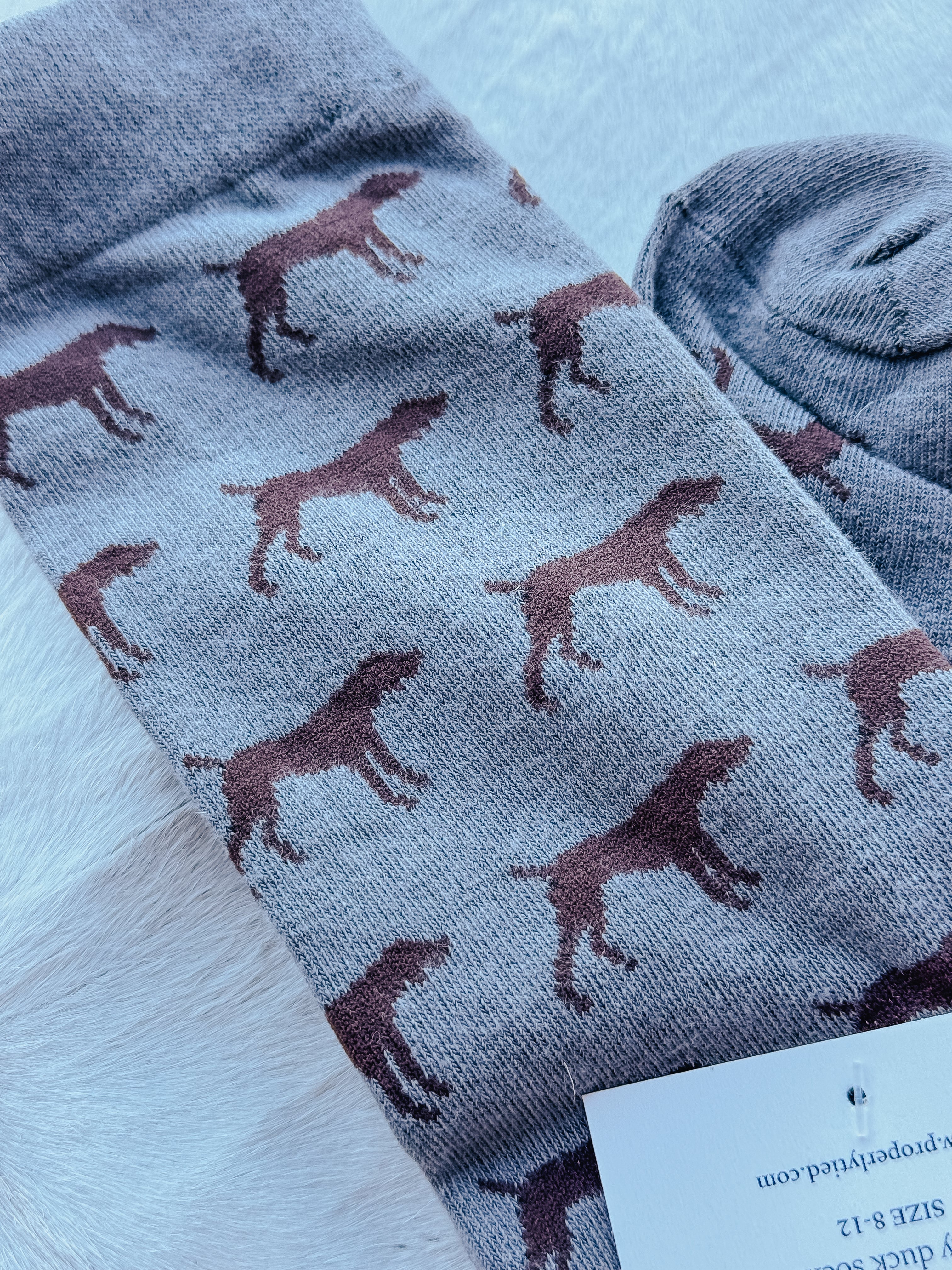 Properly Tied Lucky Duck Socks in Pointer