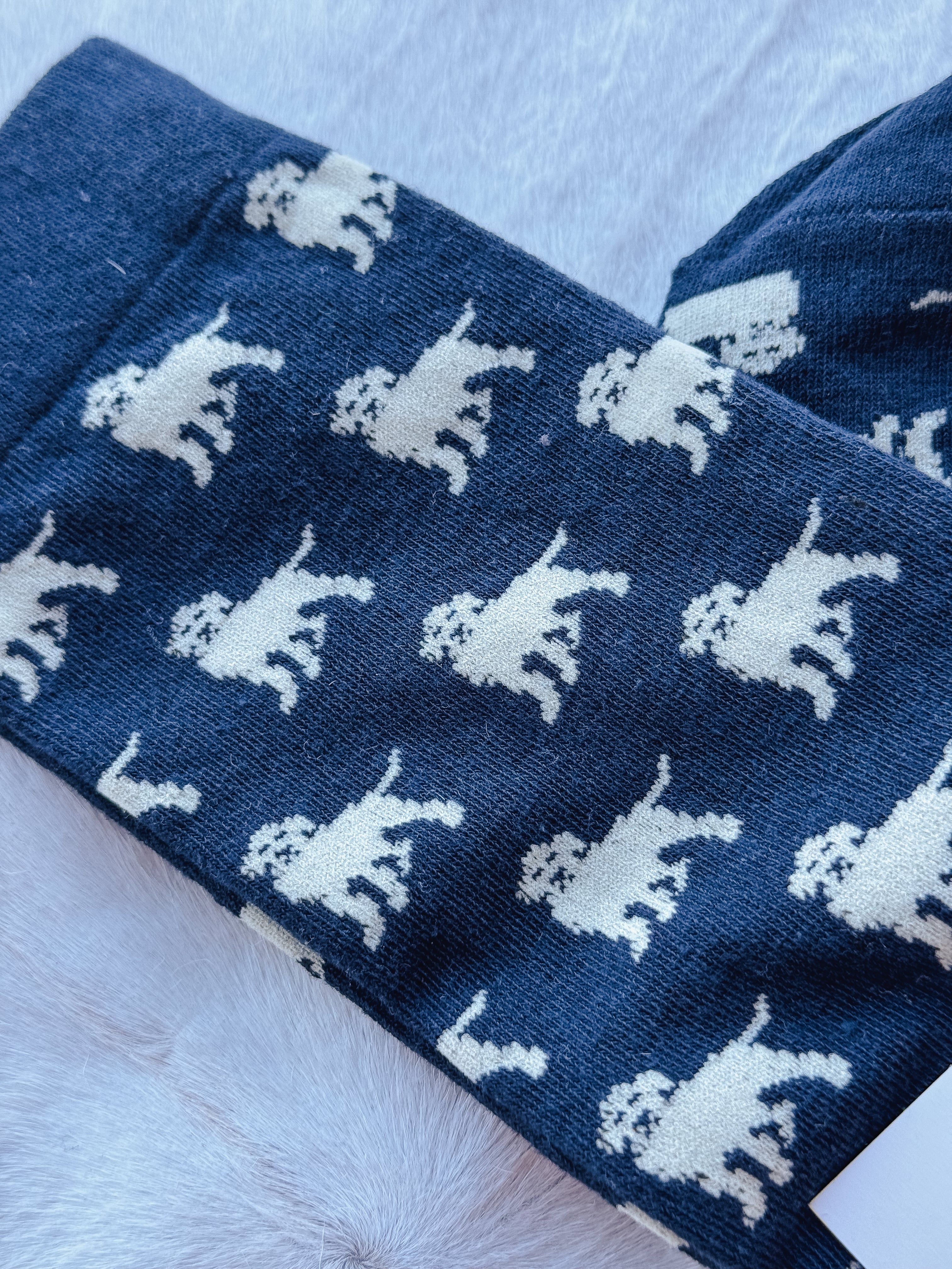 Calcetines Golden Retriever correctamente atados