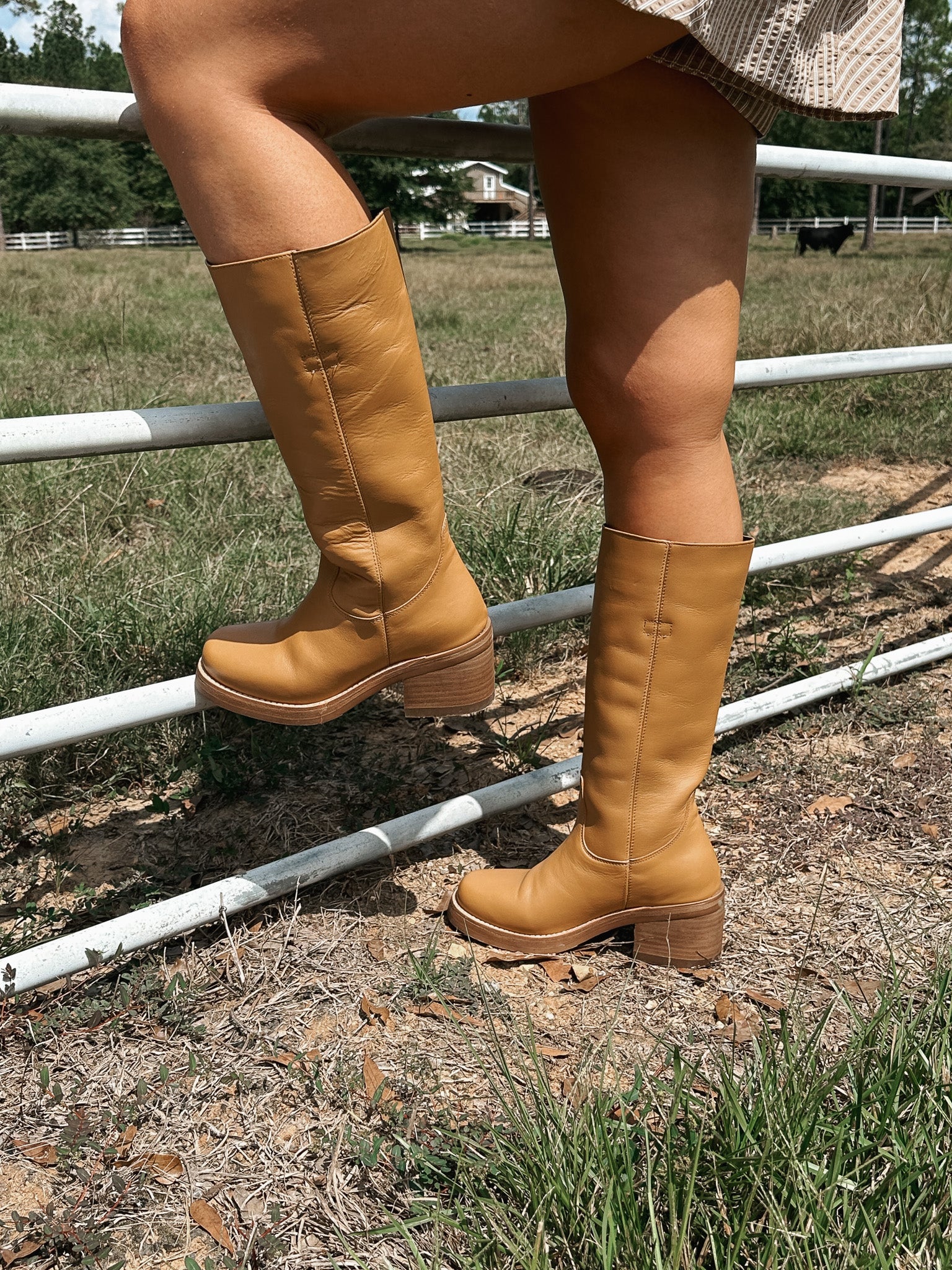 Women's Dingo Vagabond Fashion Boots in Mustard