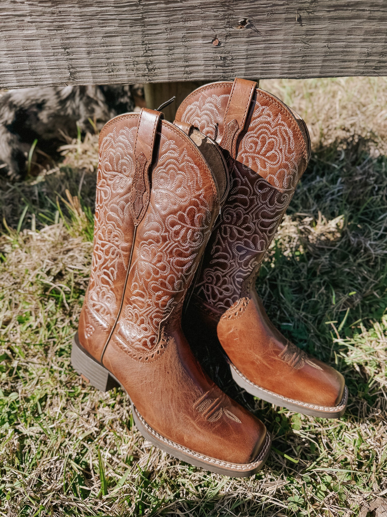 Ariat Women's Round Up Remuda Wide Square Toe Western Boots