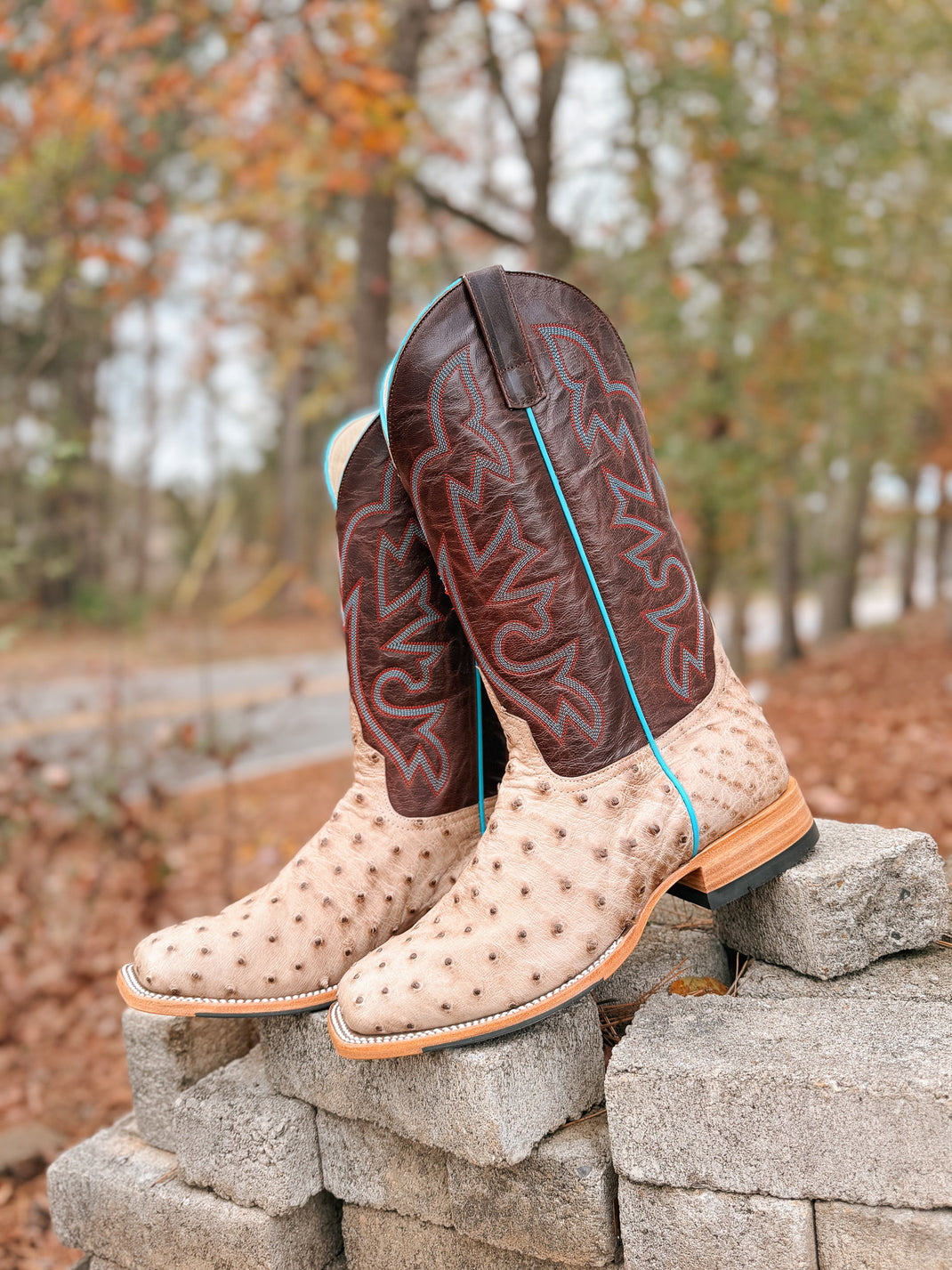 Anderson Bean Raspberry Anderson Bean – Boot Country
