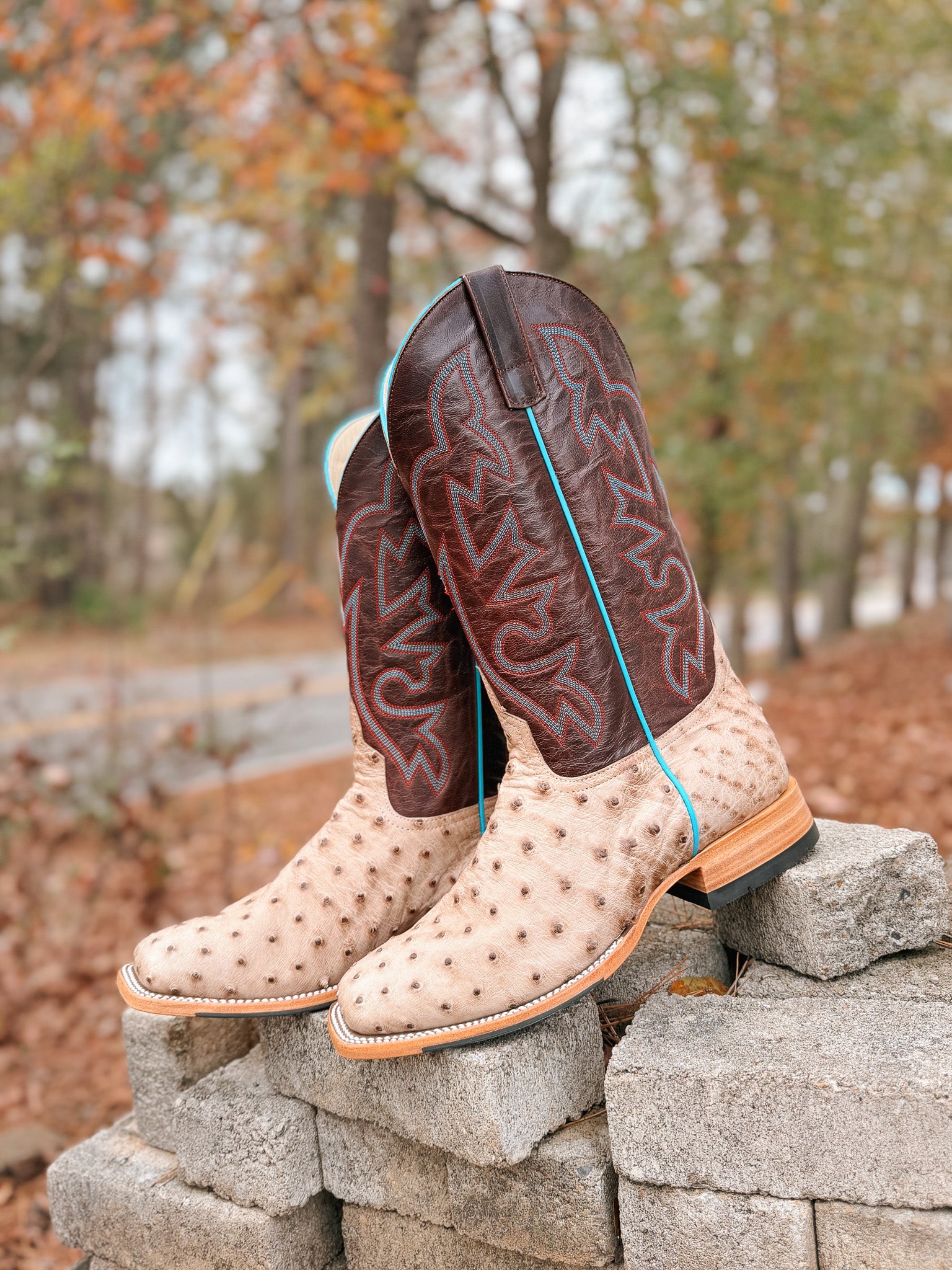 Men's Horse Power Bruciato Ostrich Boots