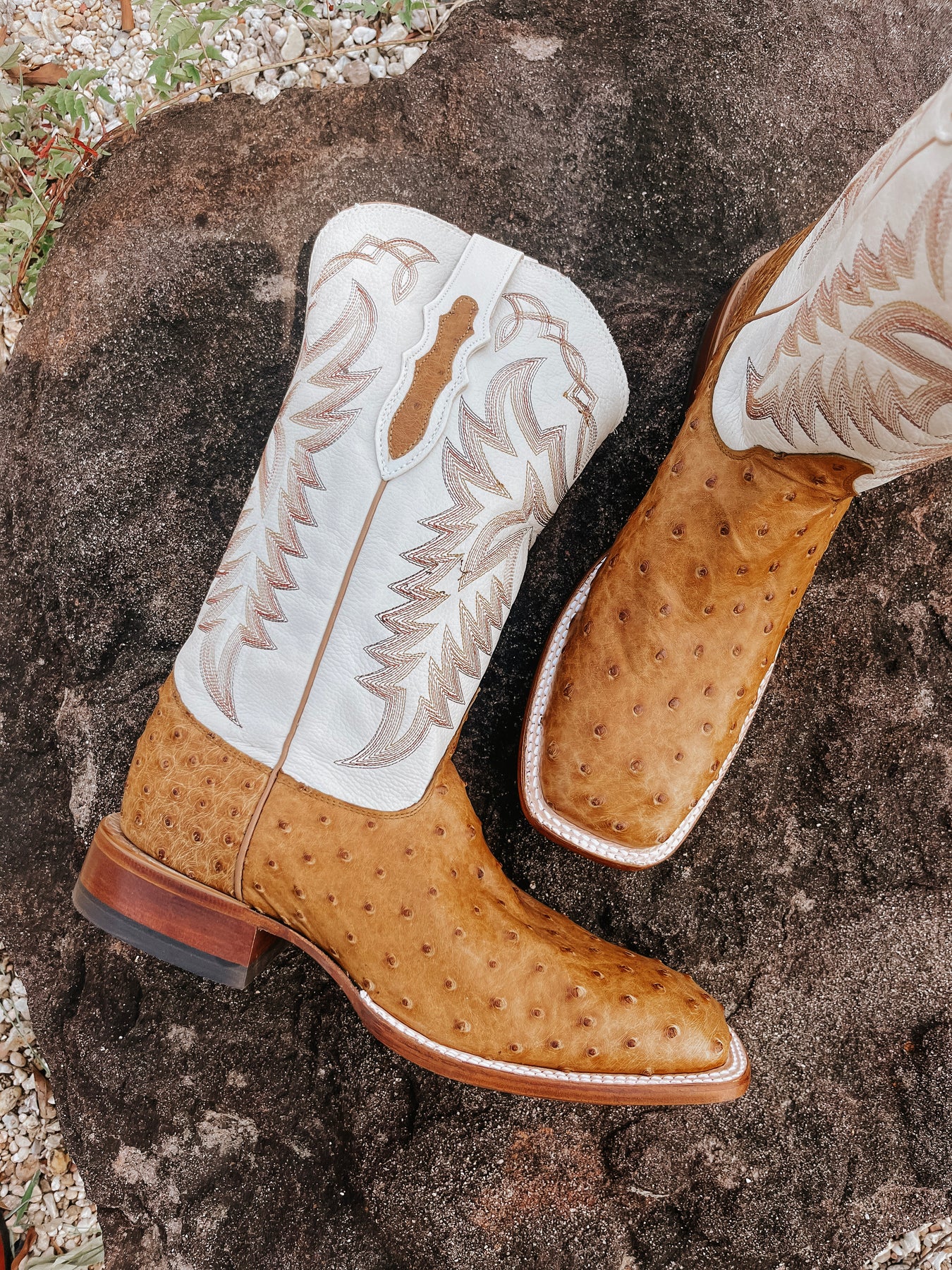 Justin Men's Cognac Ostrich Western Boots - Wide Square Toe
