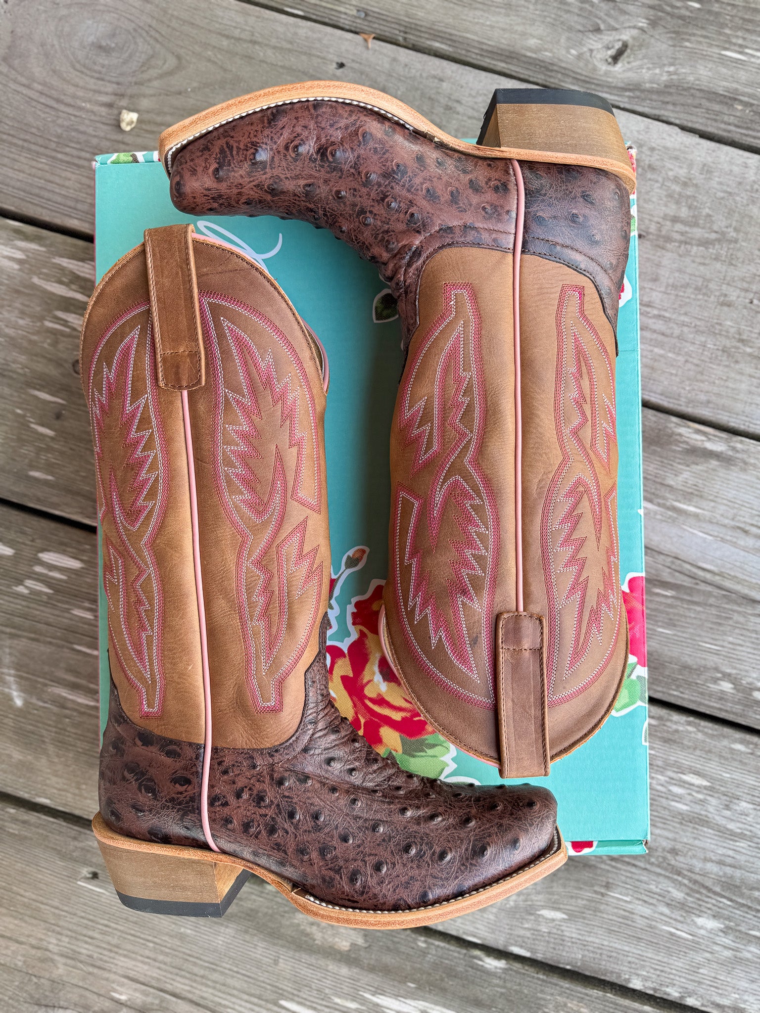 Women's Macie Bean In My Quills Ostrich Print Boots